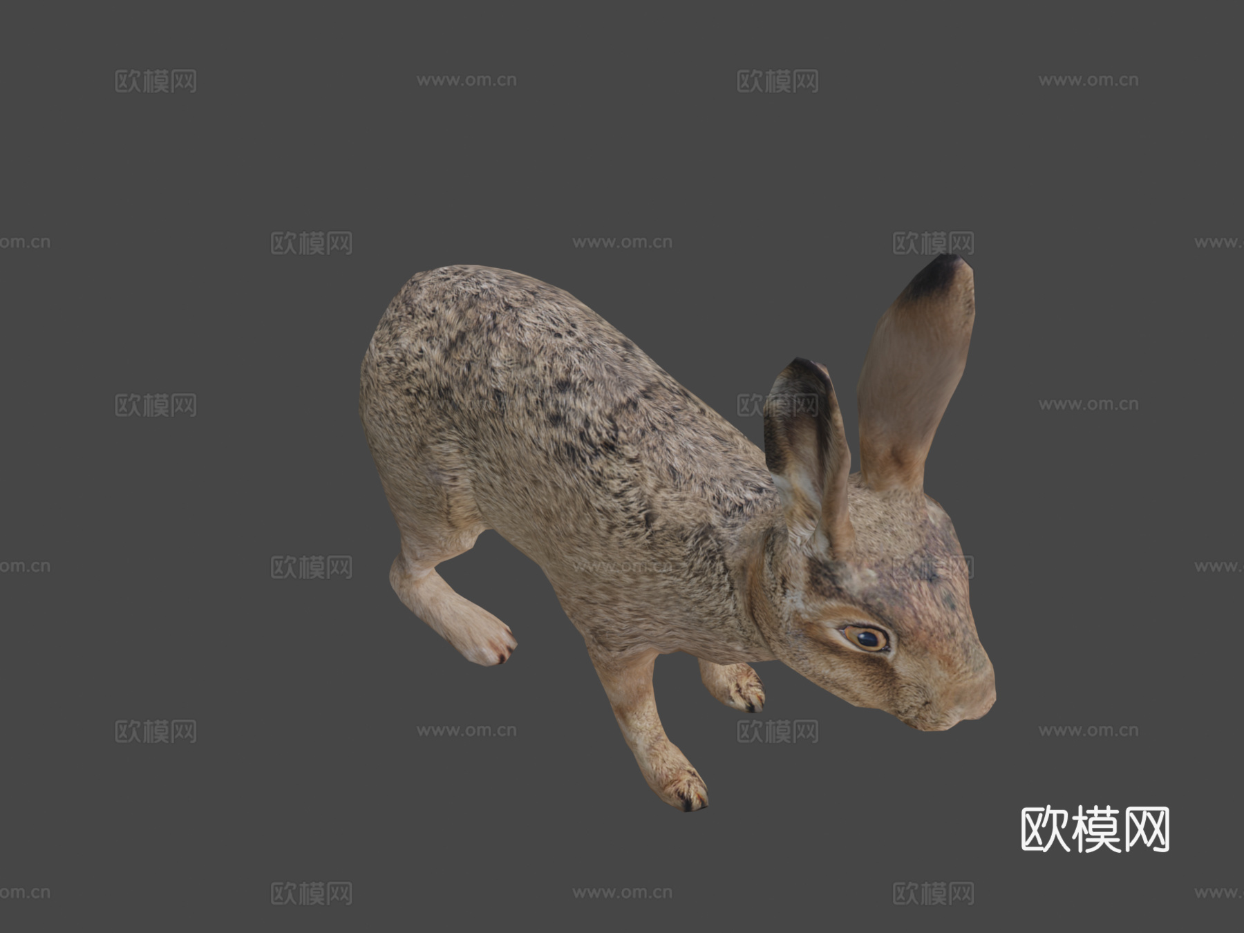 野兔su模型下载（渲染图7）