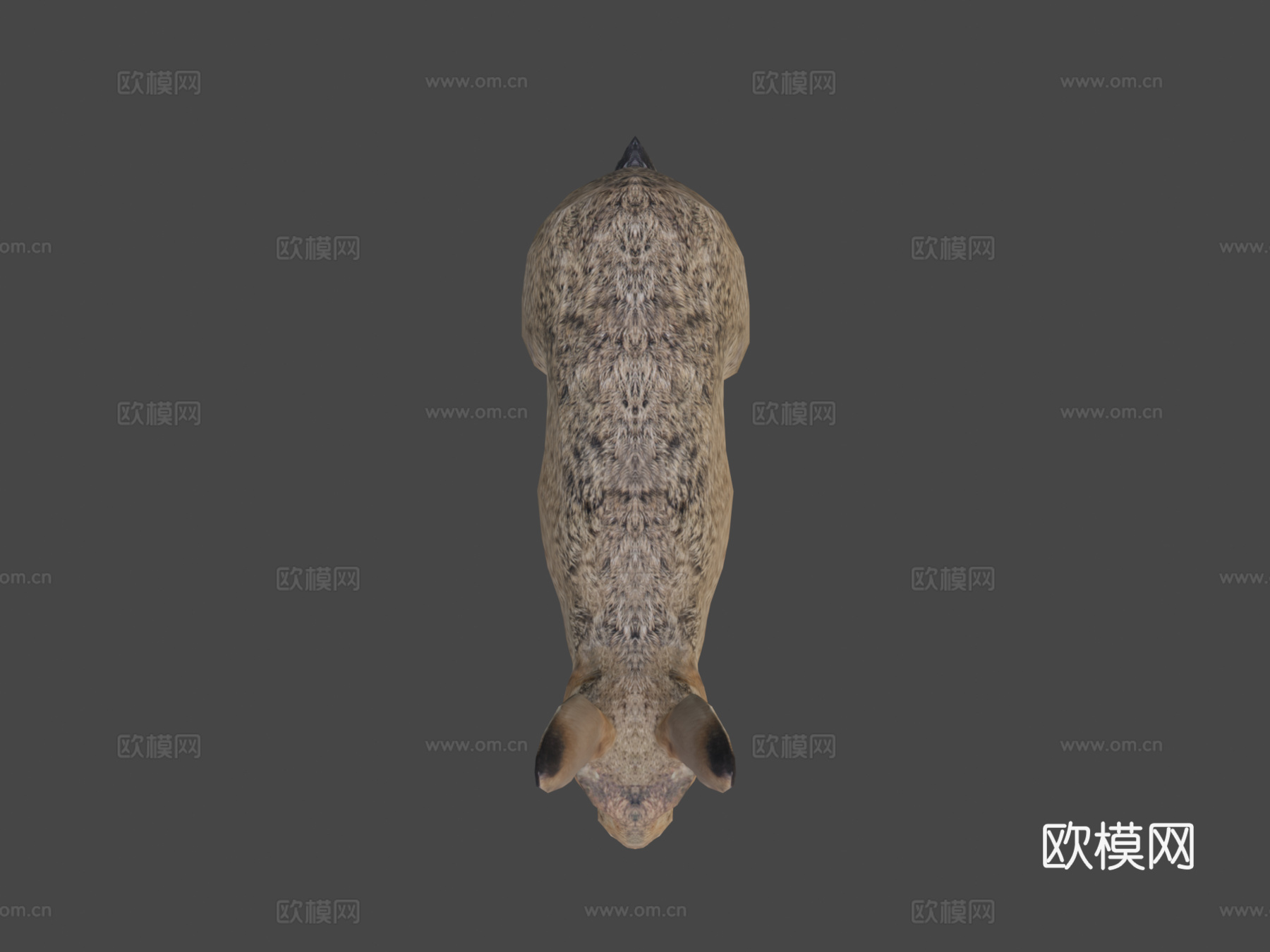 野兔su模型下载（渲染图5）