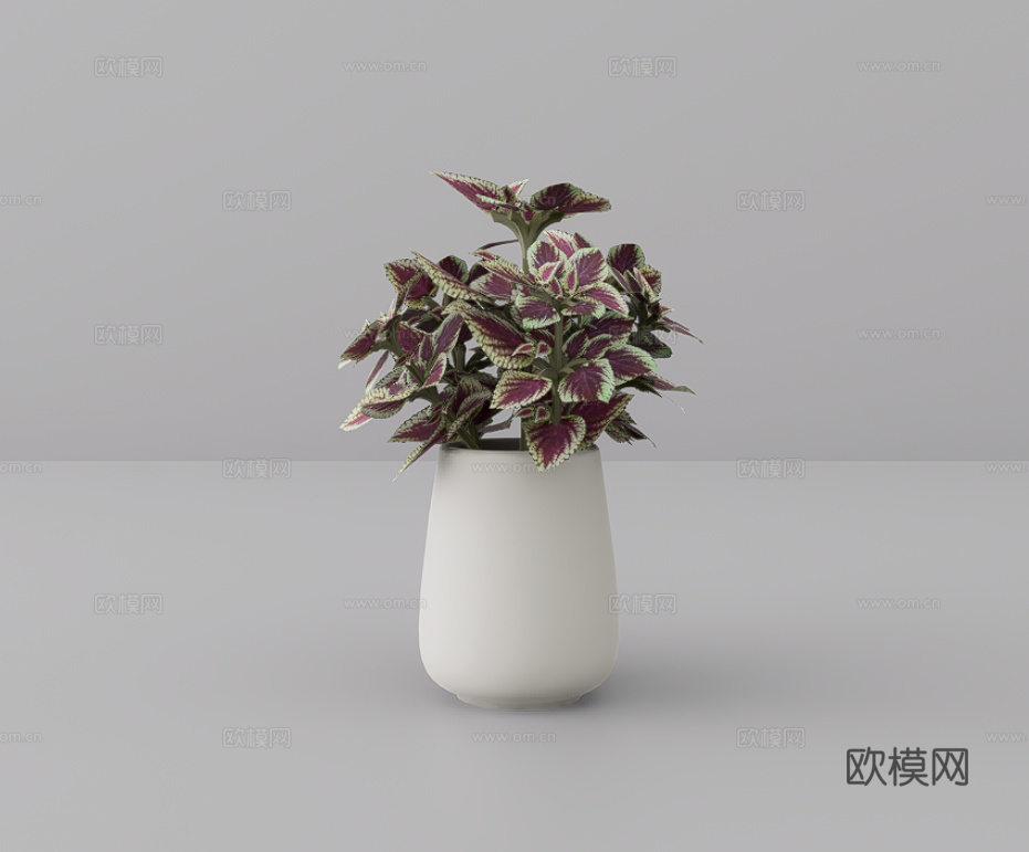 花卉摆件su模型