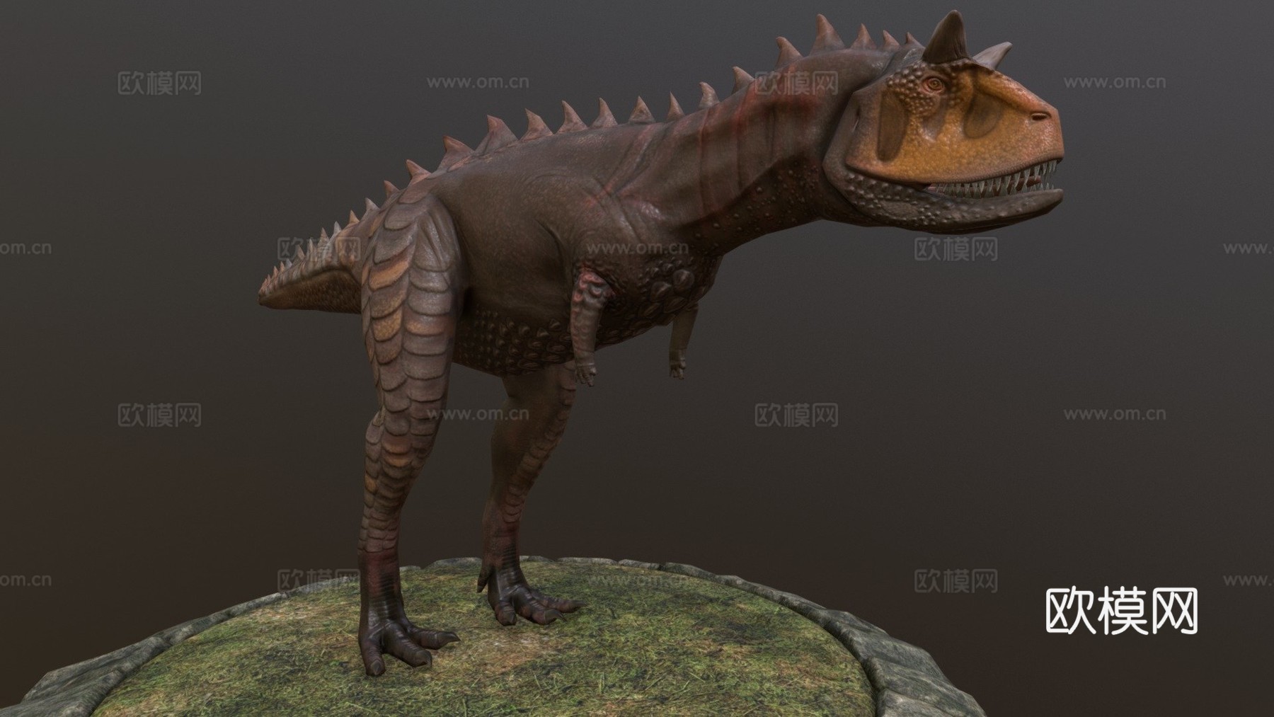 食肉牛龙su模型