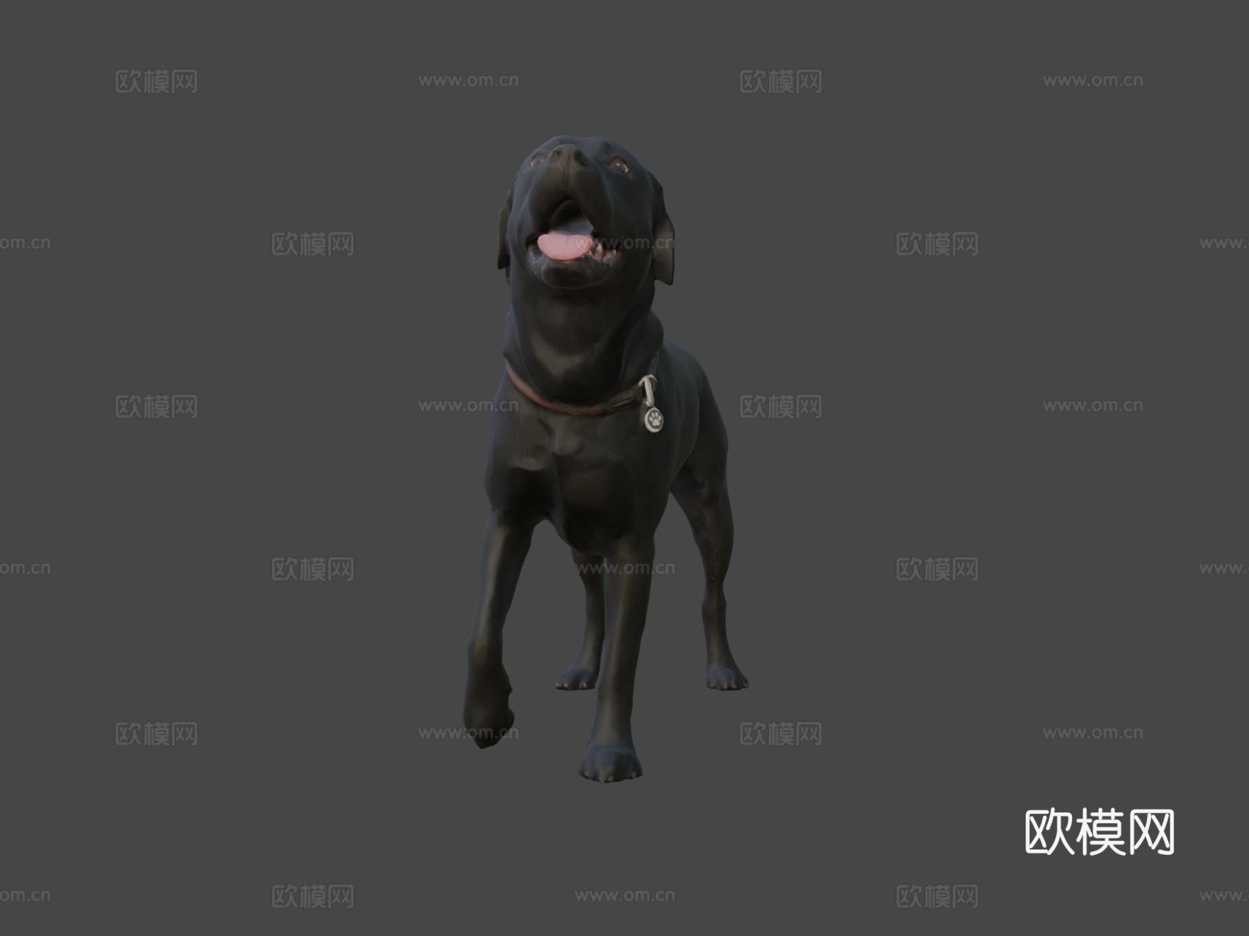 狗A-6之4-拉布拉多su模型