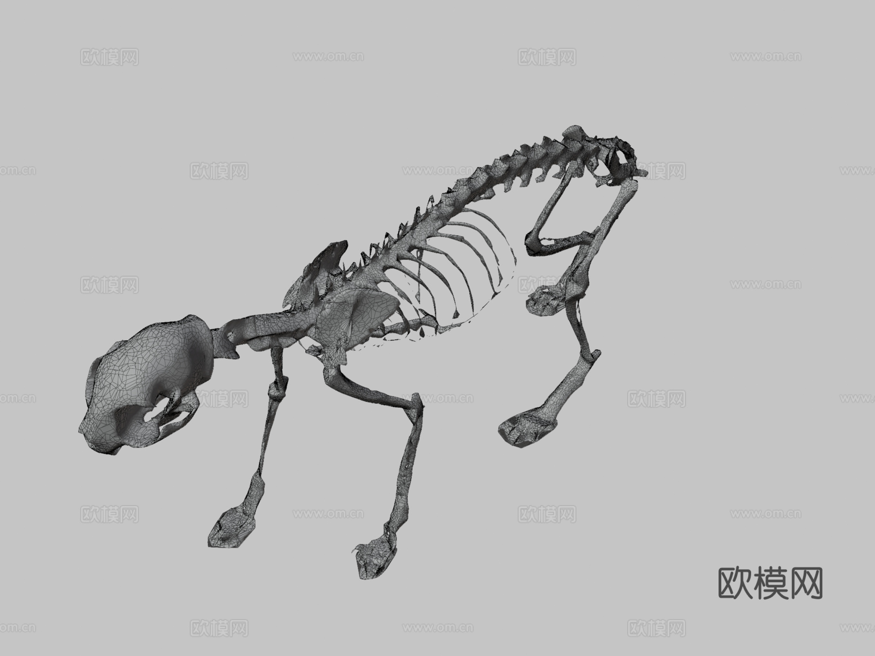 猫骨架su模型