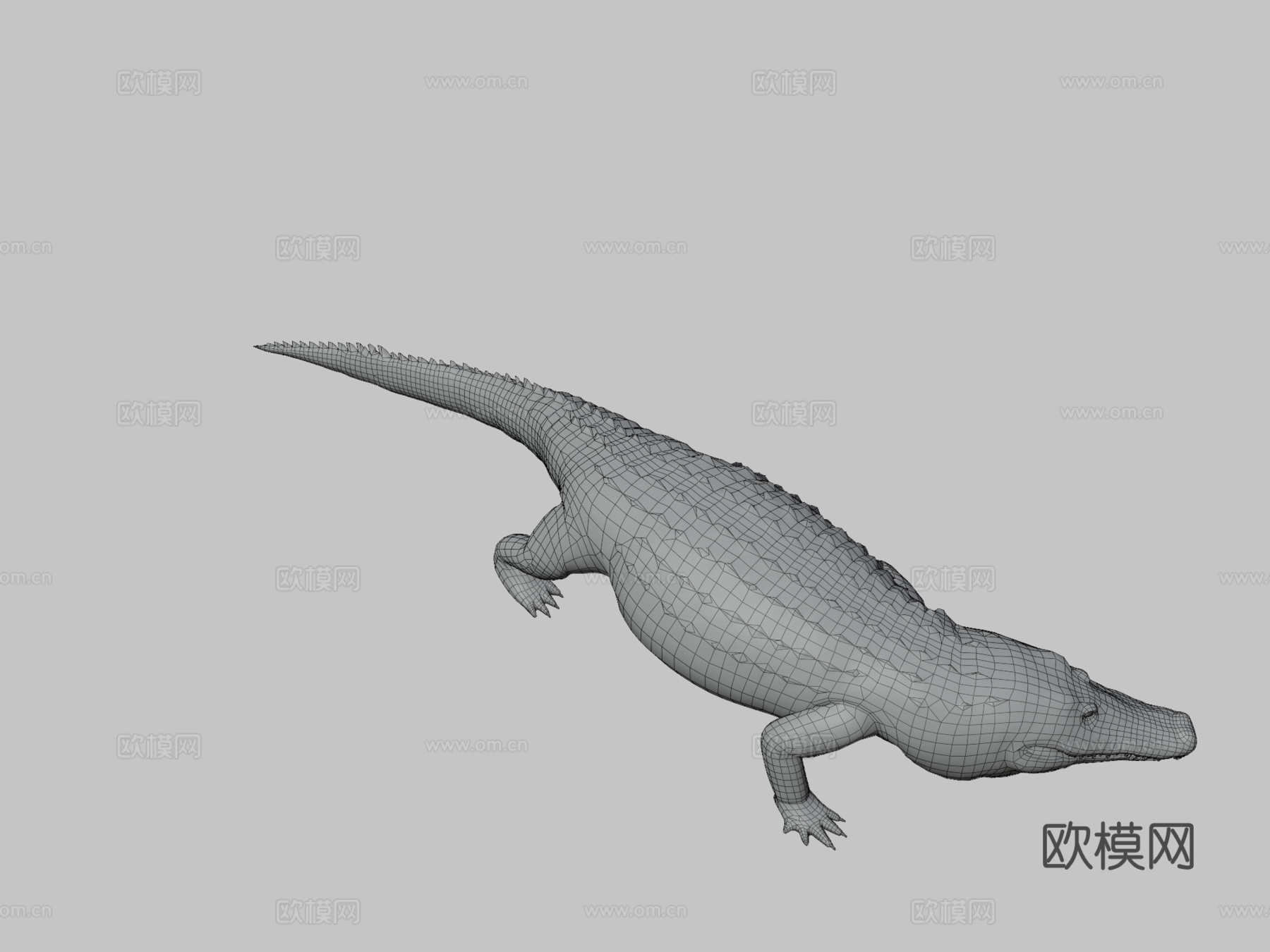 短吻鳄su模型