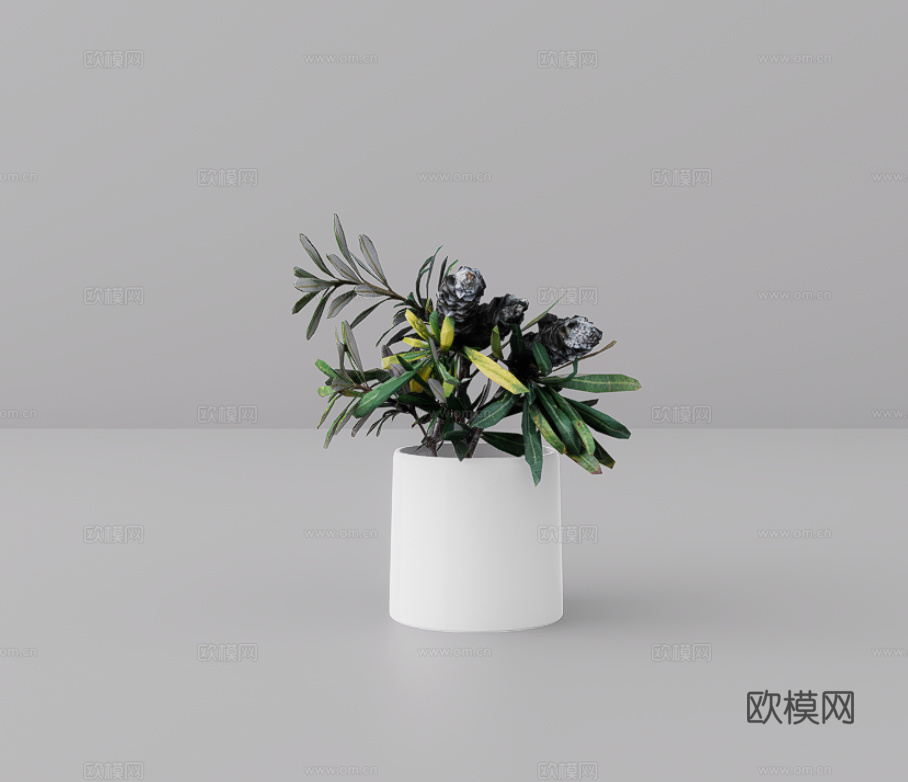 花卉摆件su模型