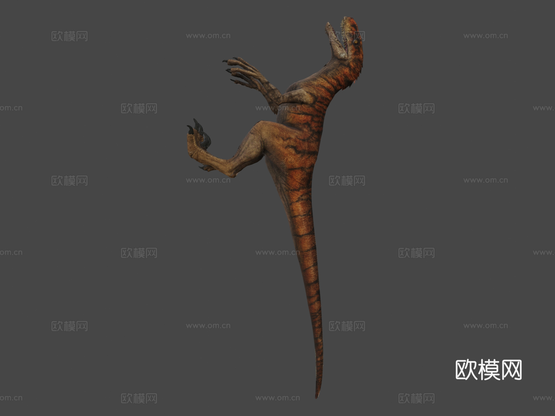 阿罗西盗龙虎su模型