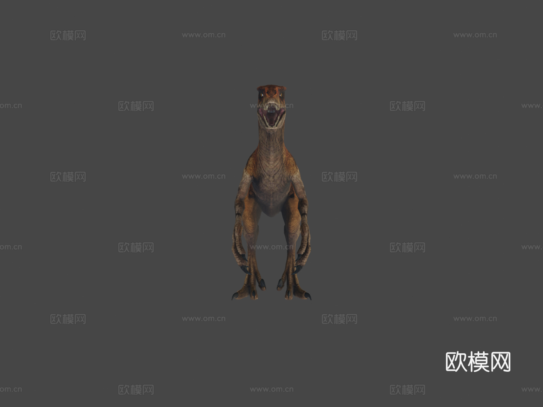 阿罗西盗龙虎su模型