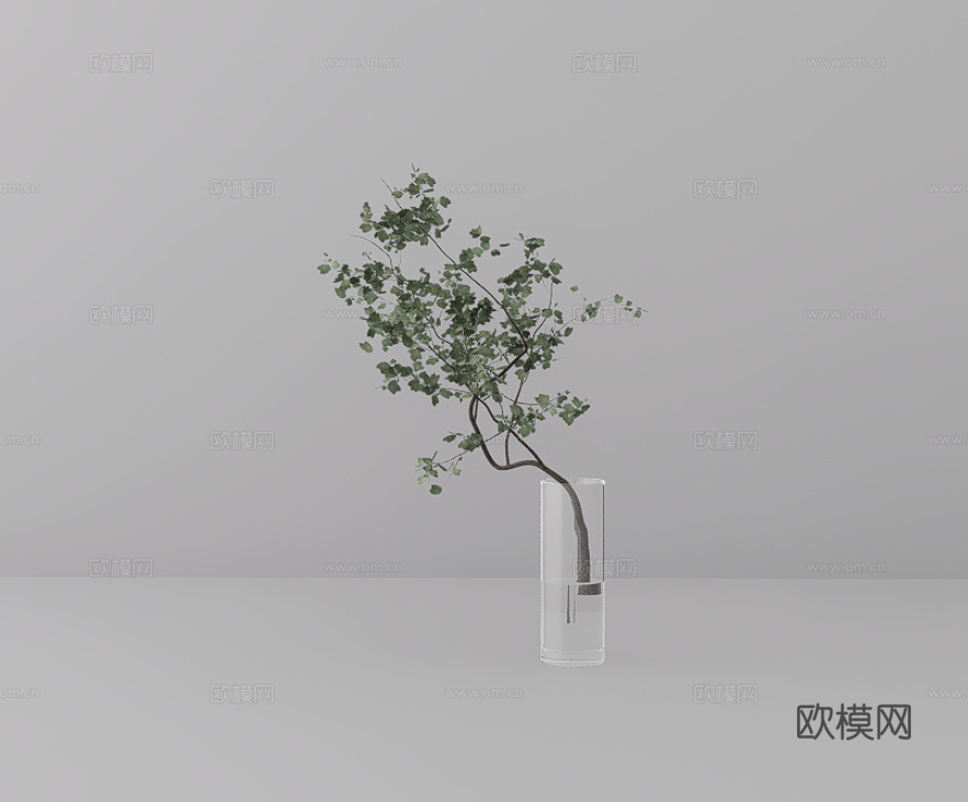 玻璃瓶绿植su模型