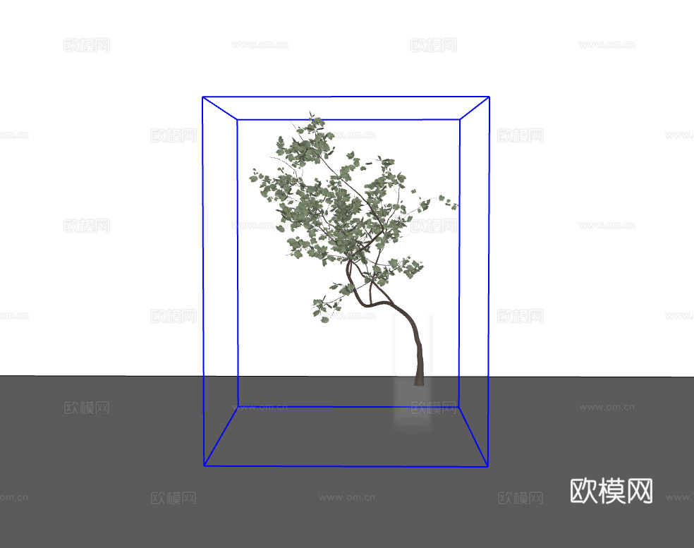 玻璃瓶绿植su模型