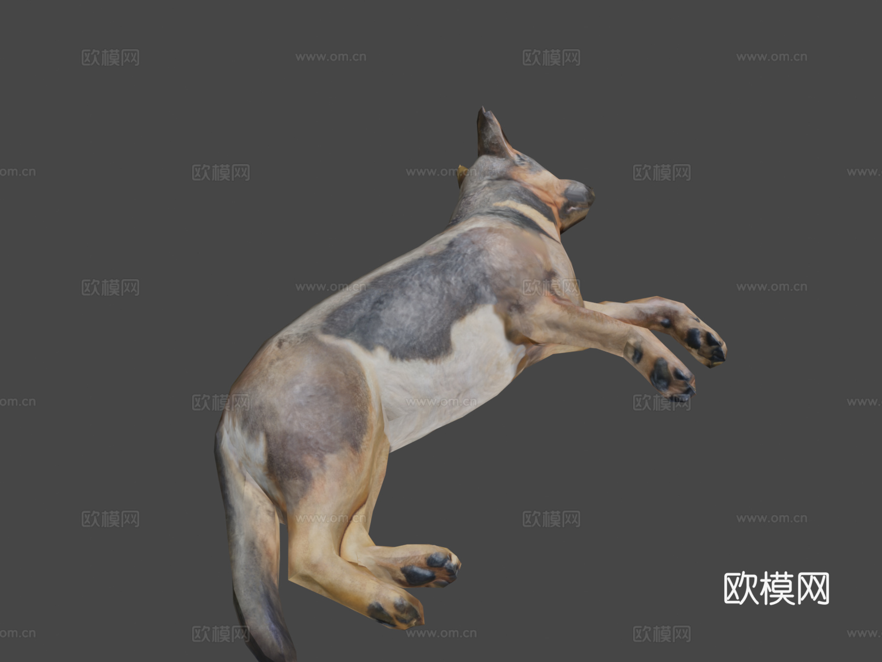 德国牧羊犬su模型