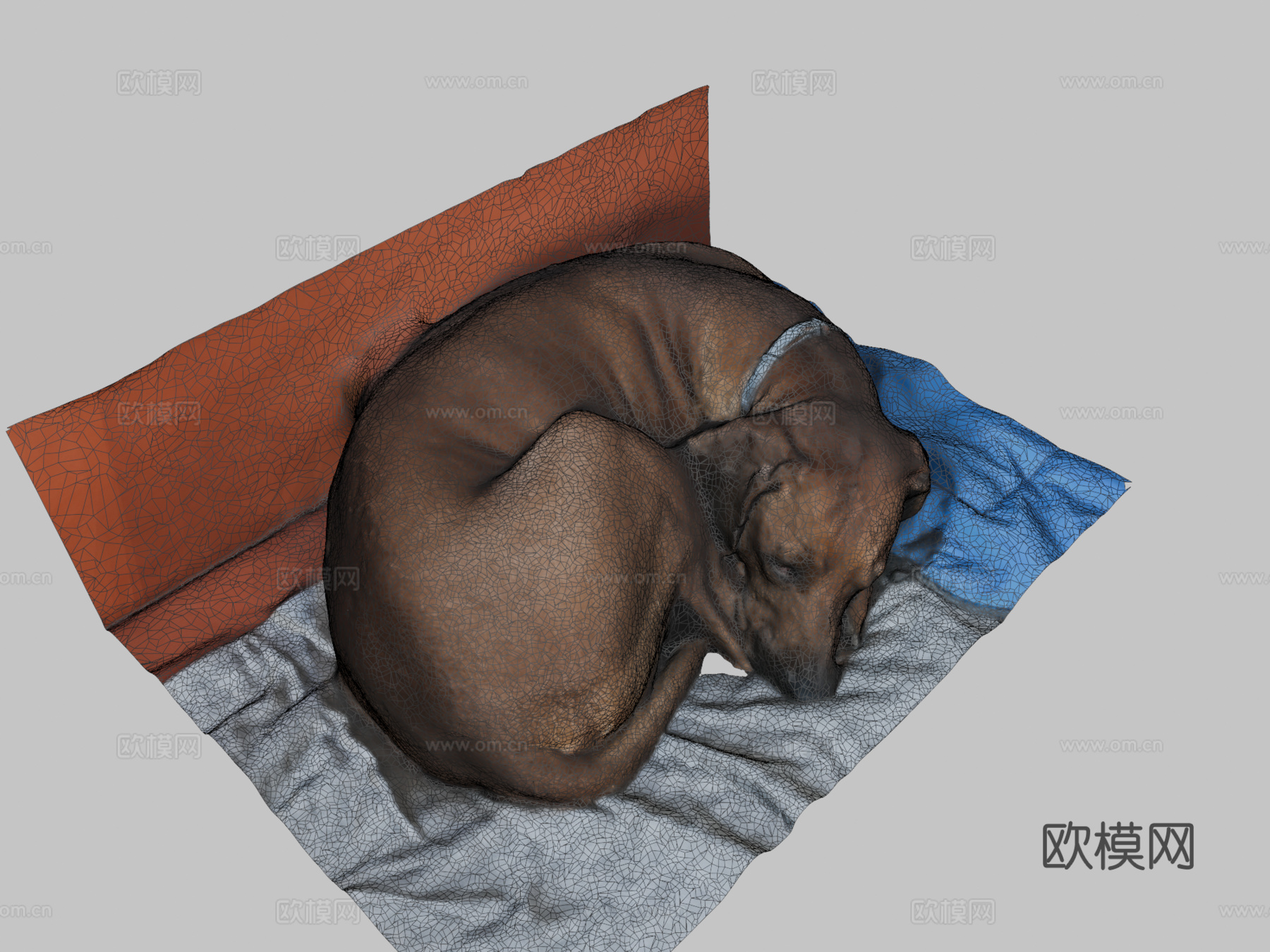 狗-3D扫描测试su模型