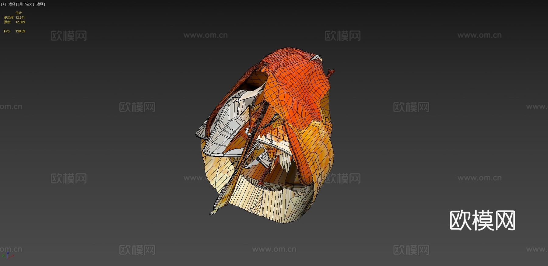 金鱼_品种1su模型