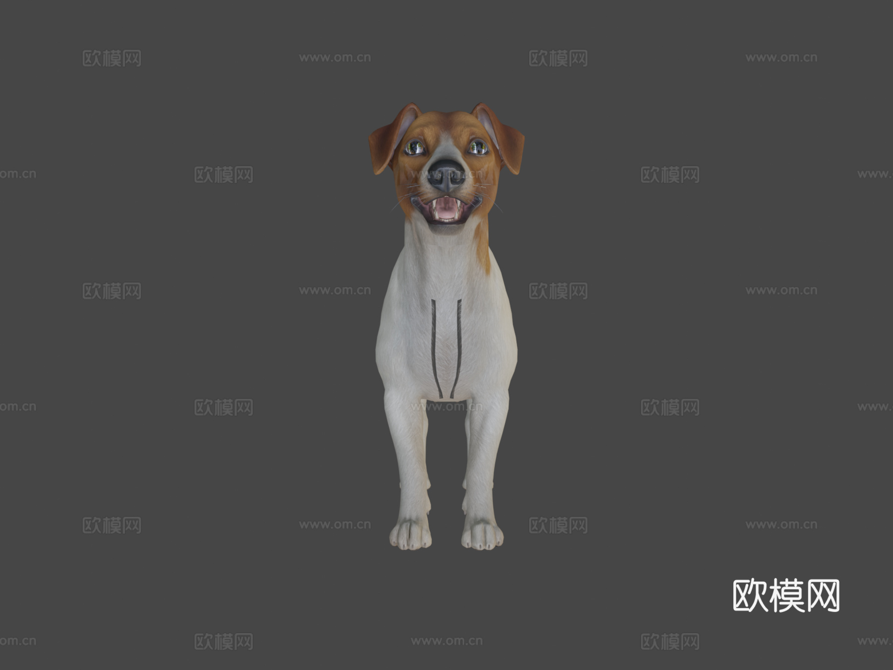 狗-杰克罗素梗犬v2su模型
