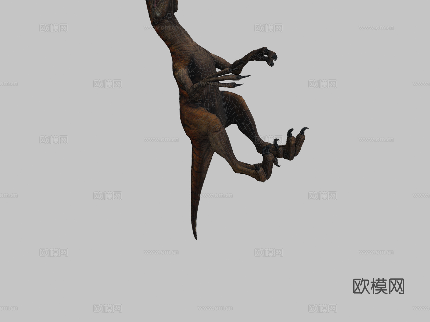 阿罗西盗龙虎su模型