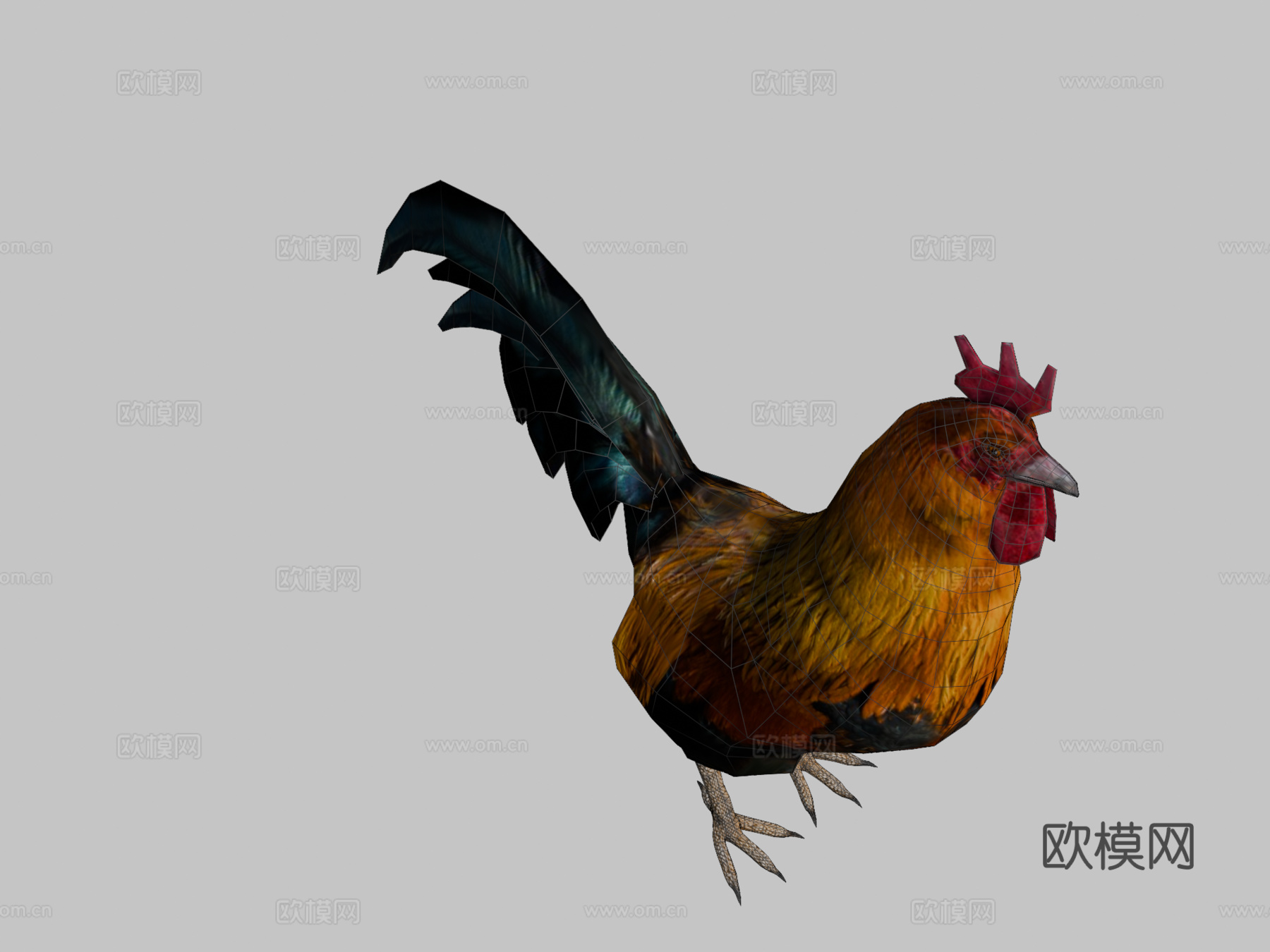 公鸡su模型