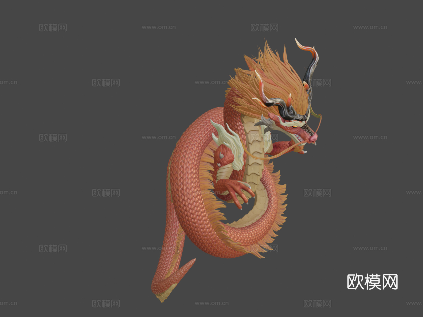 红龙su模型