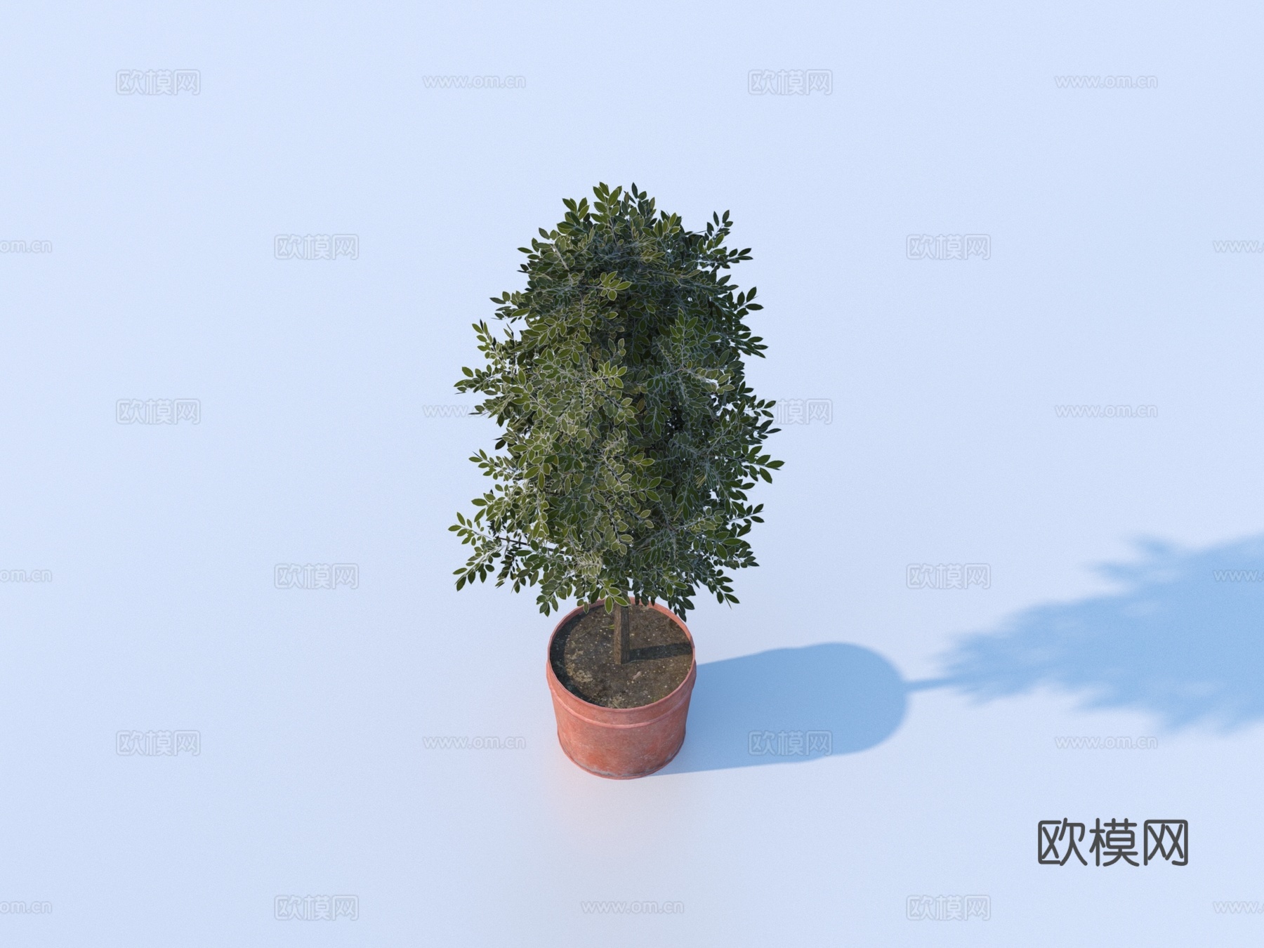 绿植 盆栽 花卉3d模型下载