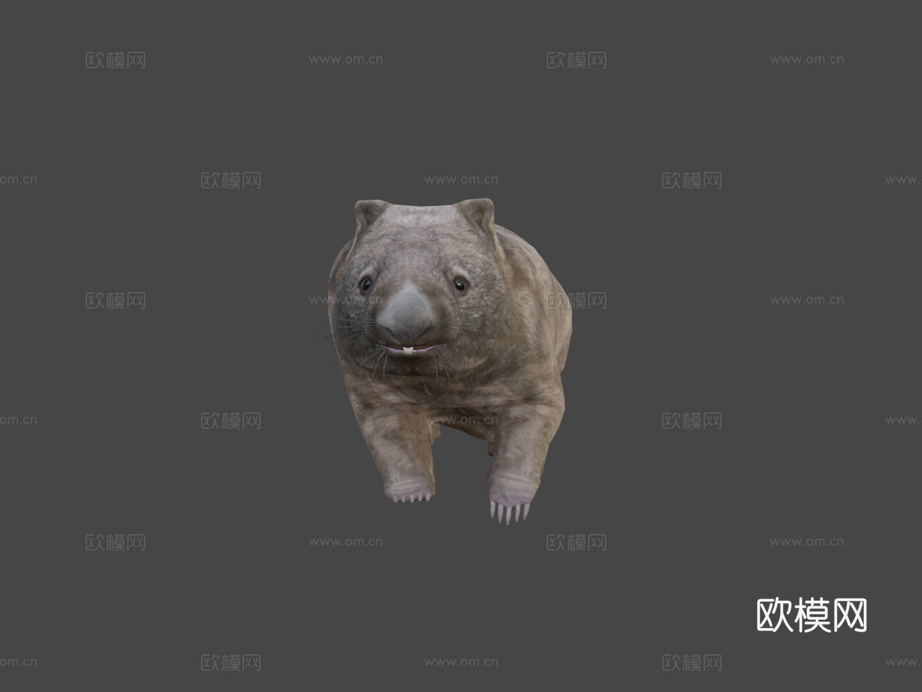 袋熊预览su模型