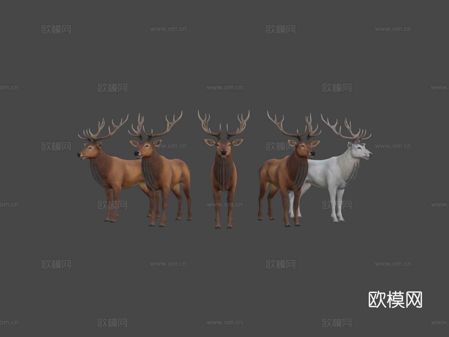 鹿群su模型下载（渲染图6）