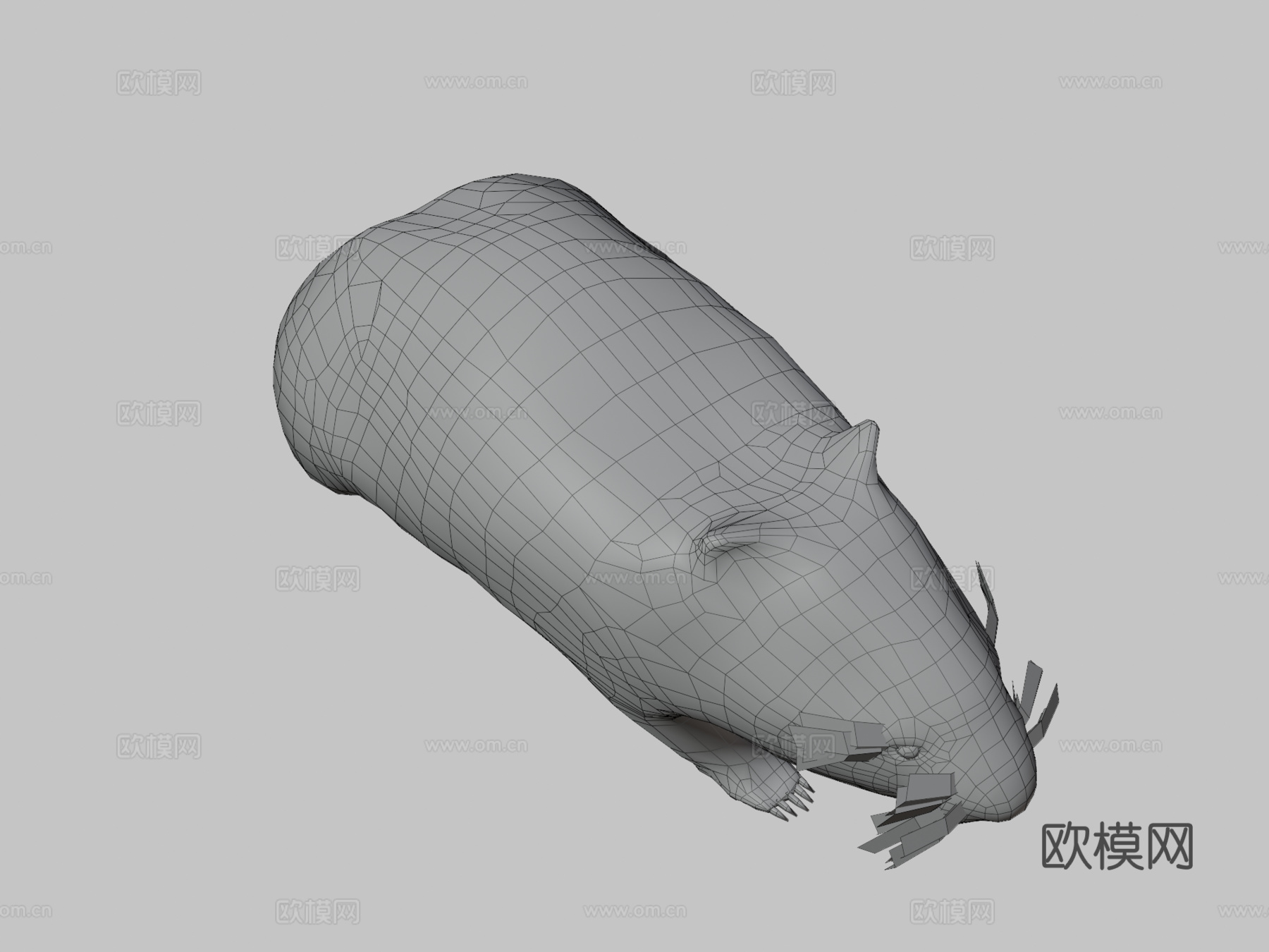 袋熊预览su模型