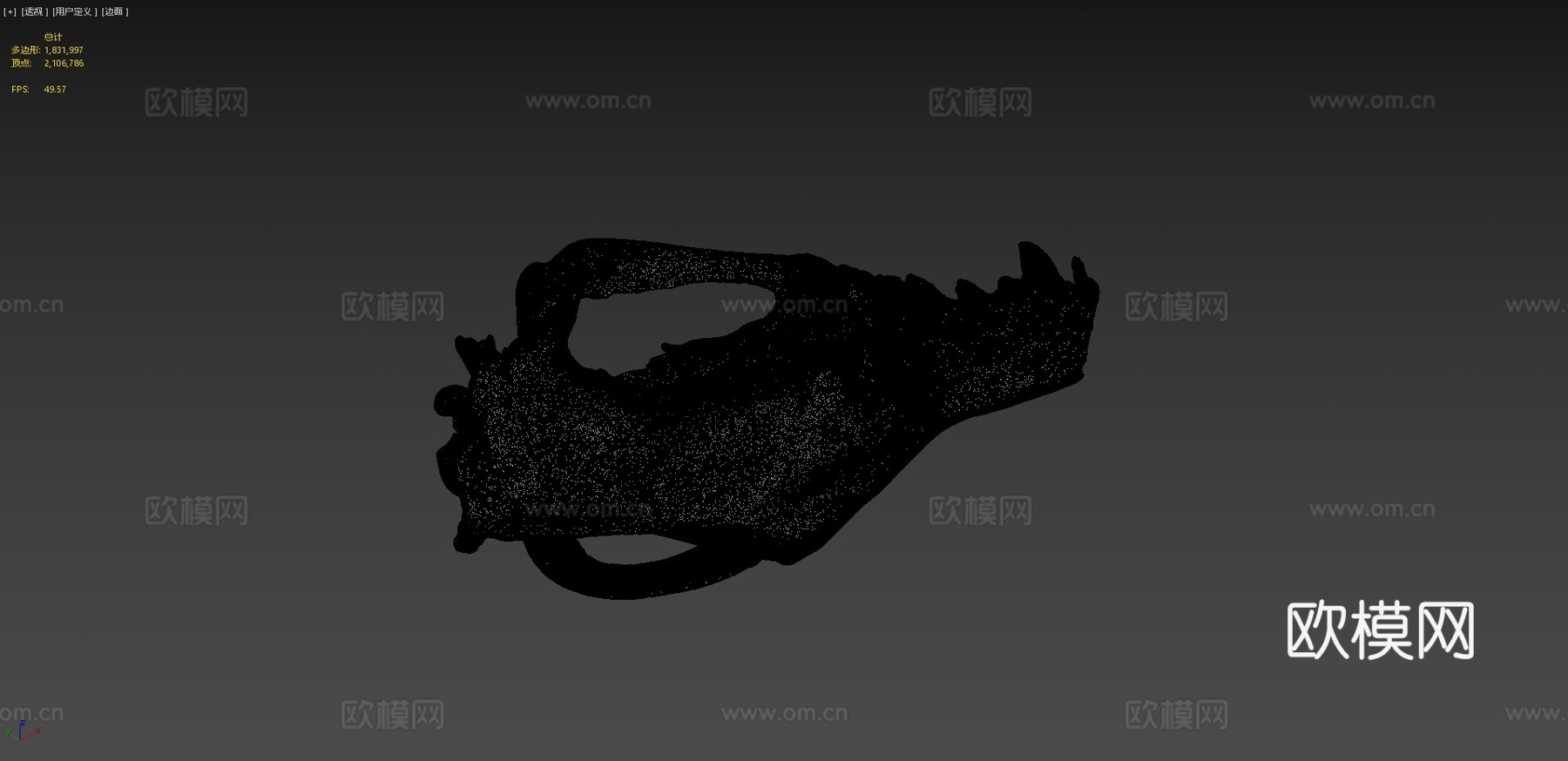 袋狼颅骨su模型