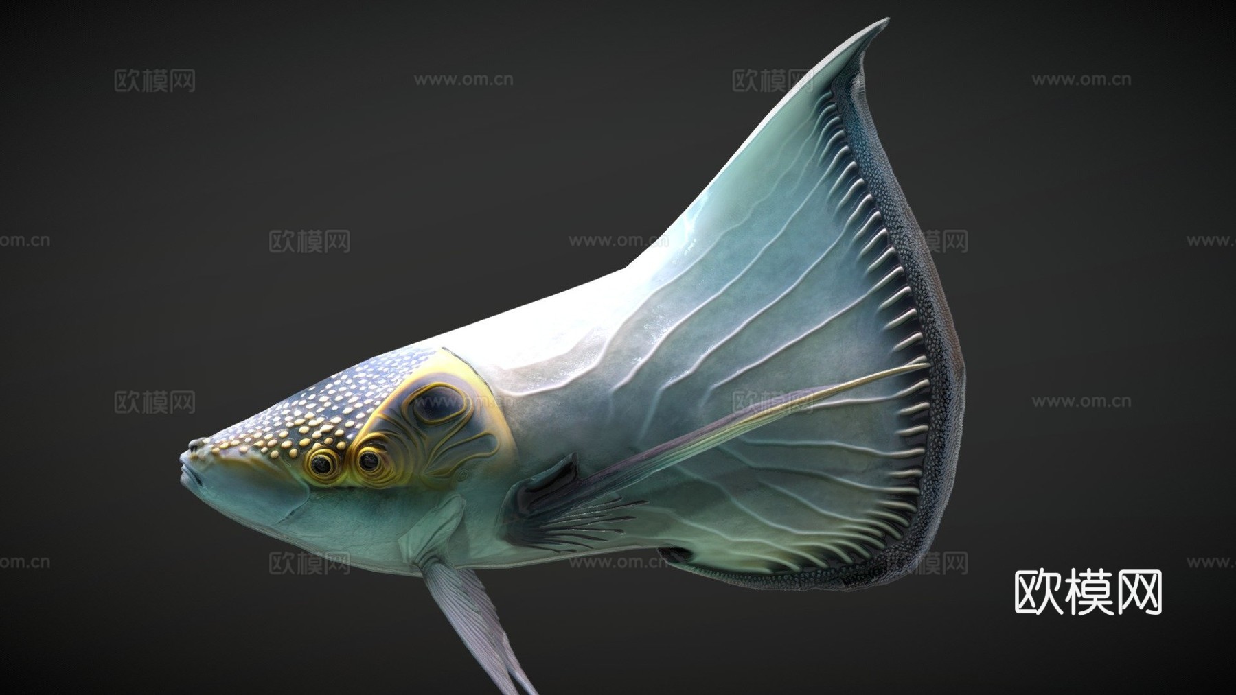 外星幻想鱼-太阳鳍su模型