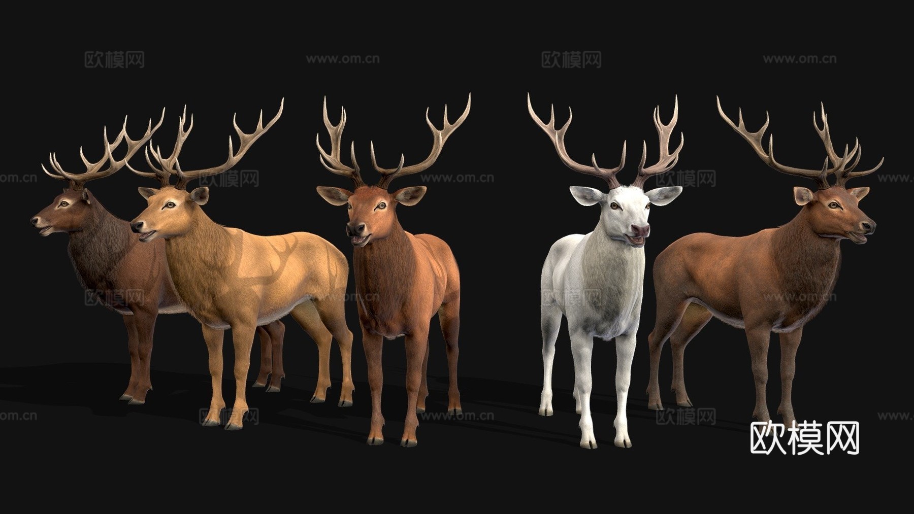 鹿群su模型下载（渲染图1）