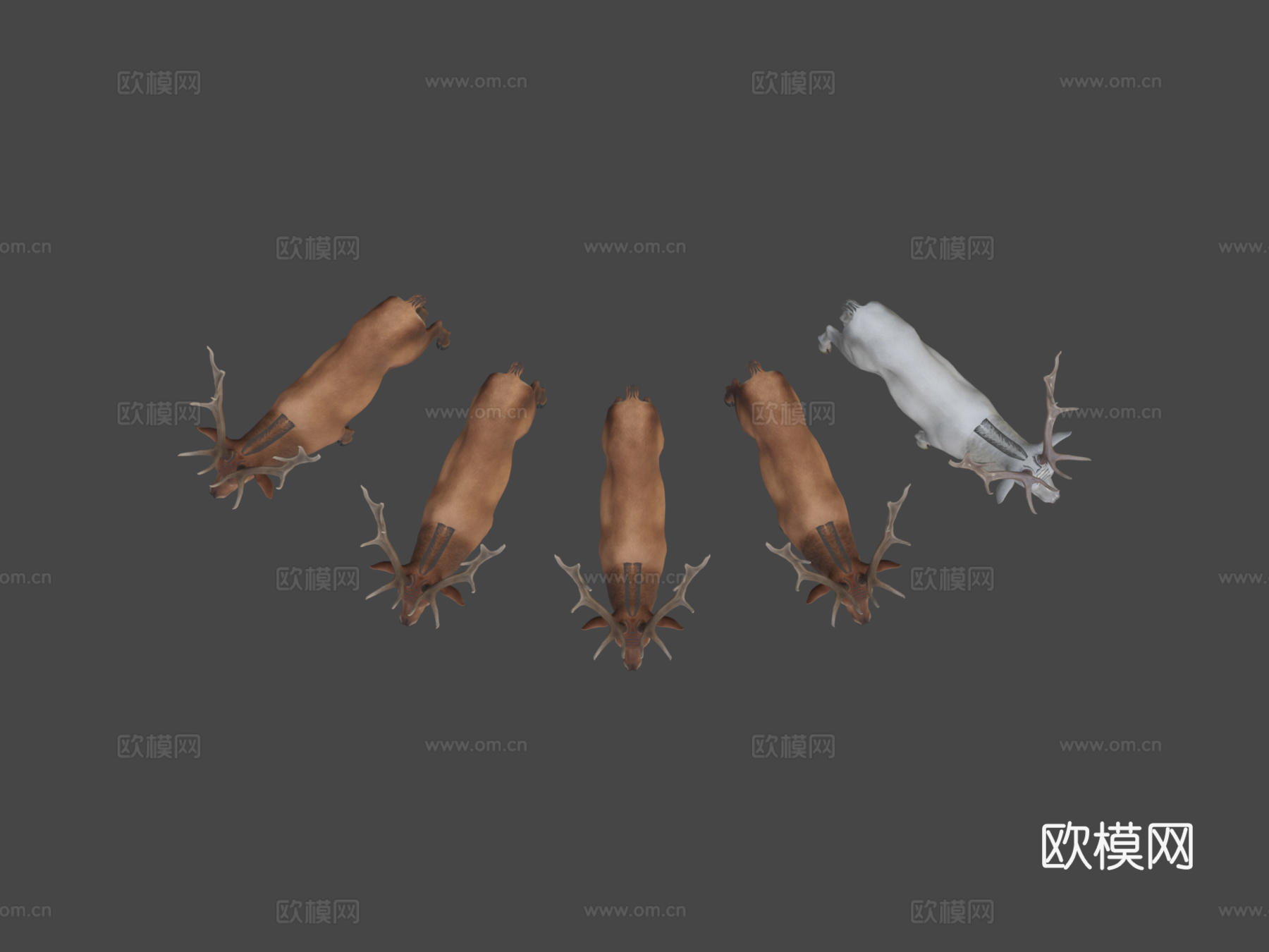 鹿群su模型下载（渲染图7）