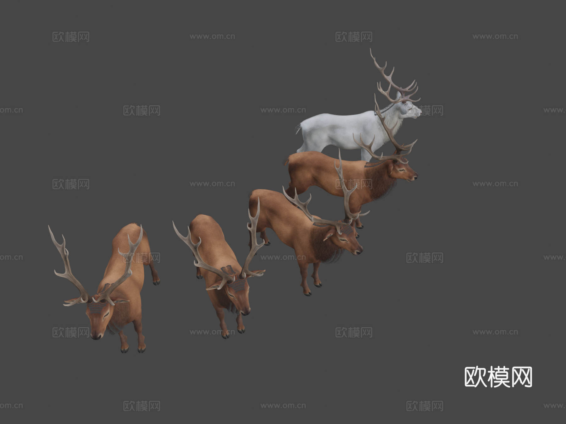 鹿群su模型下载（渲染图8）