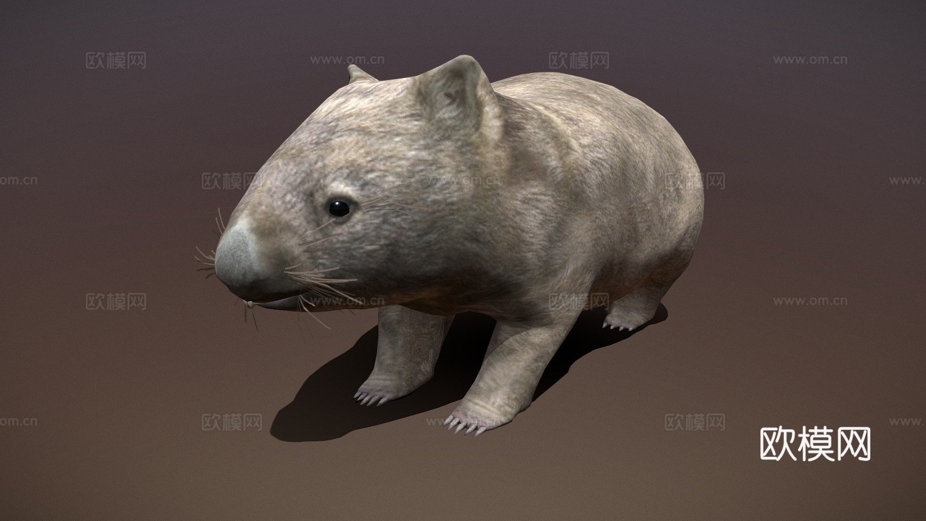 袋熊预览su模型