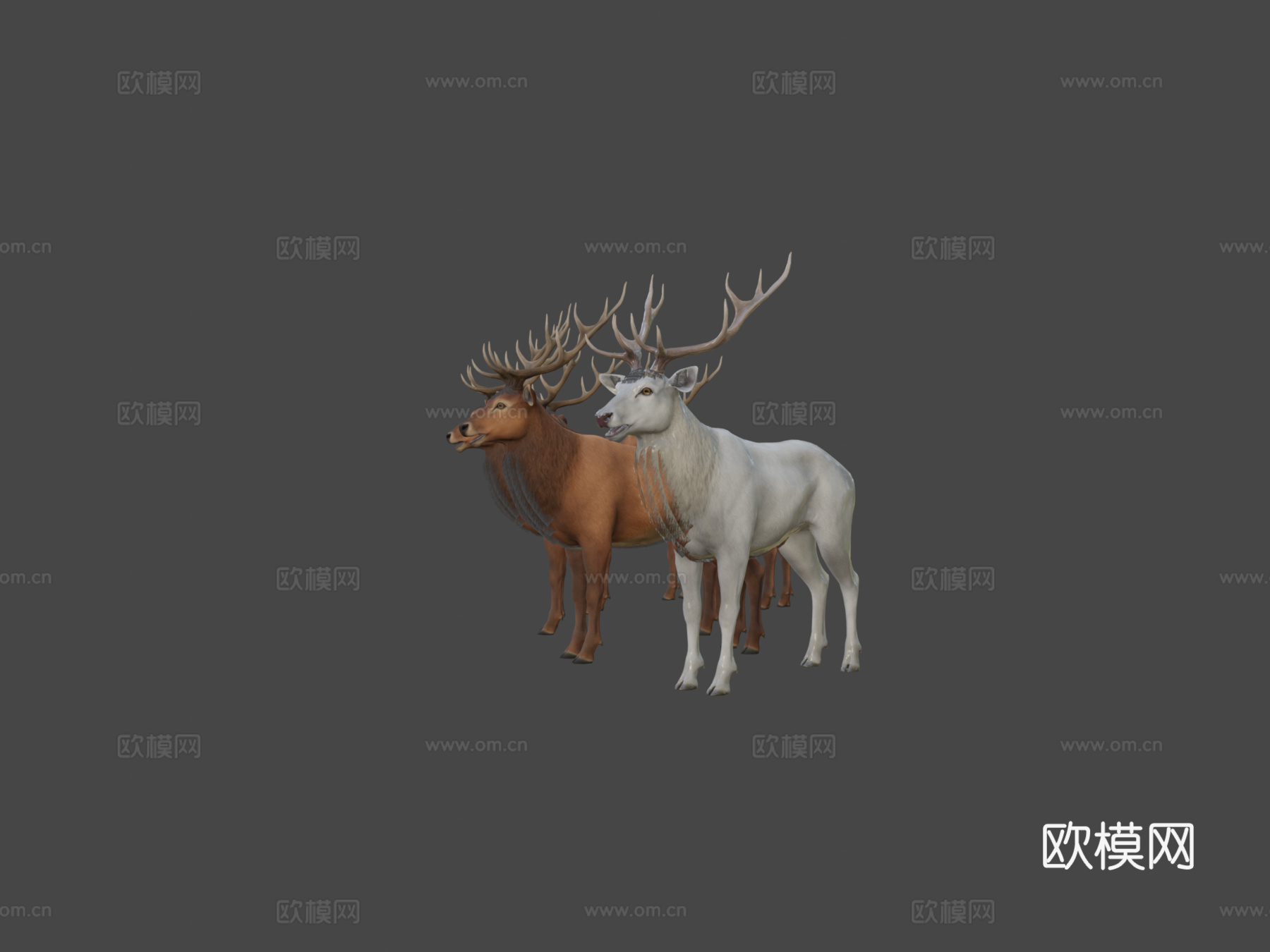 鹿群su模型下载（渲染图5）