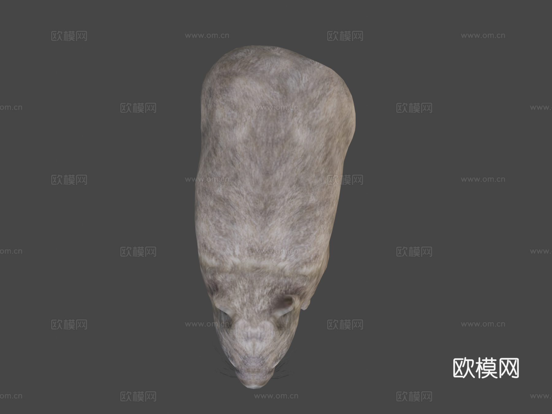 袋熊预览su模型