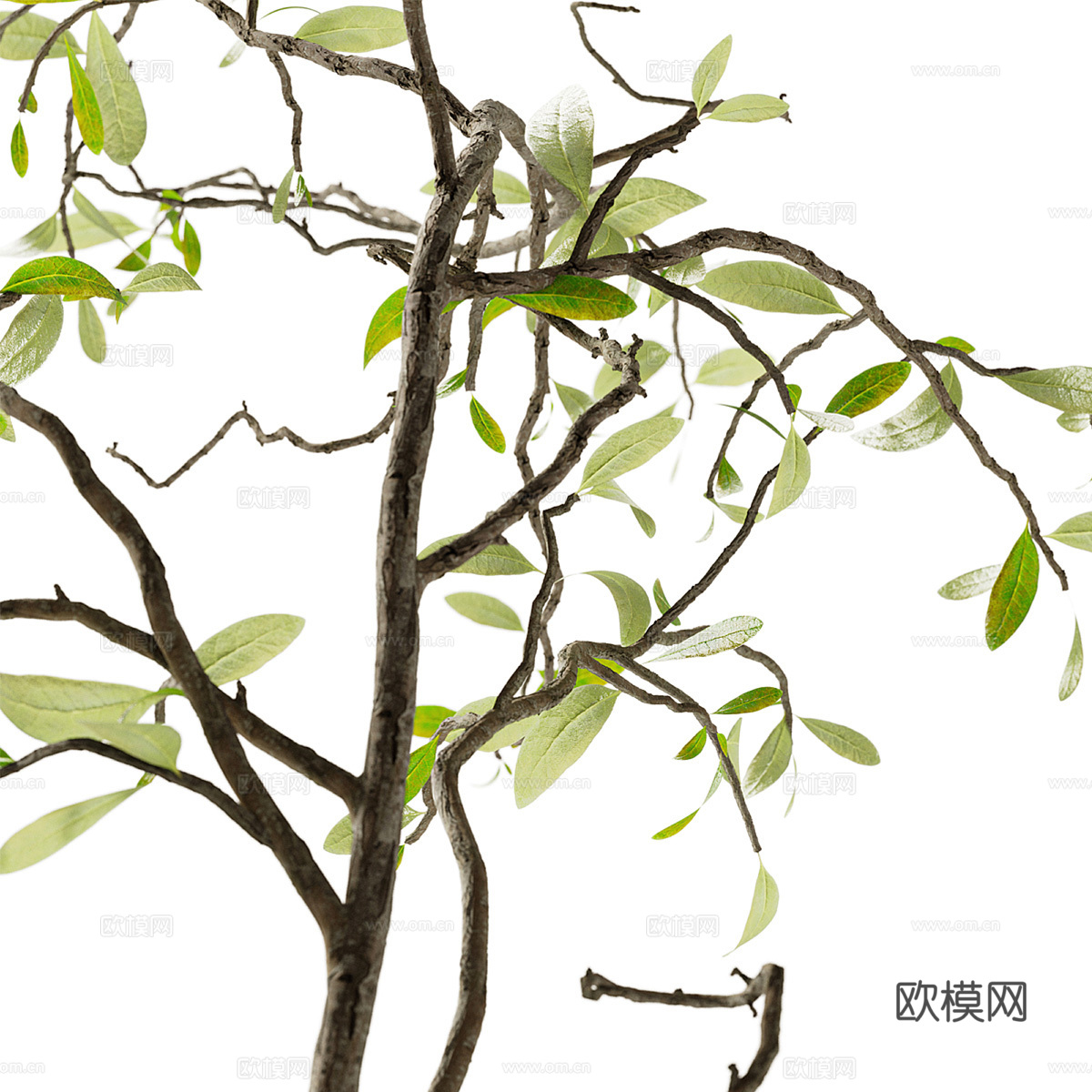 现代花艺花瓶摆件3d模型下载（渲染图2）