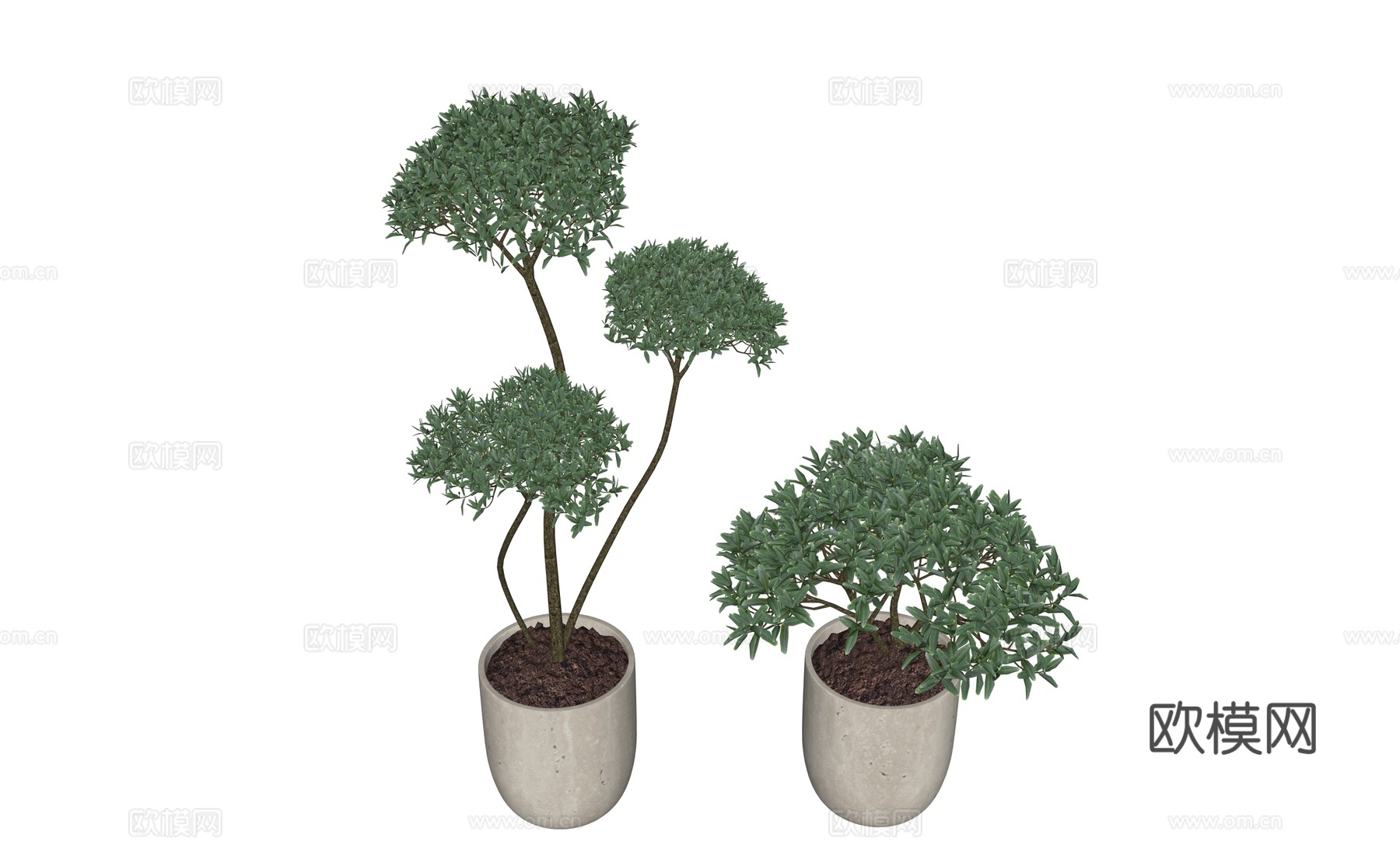 现代盆栽植物摆件su模型