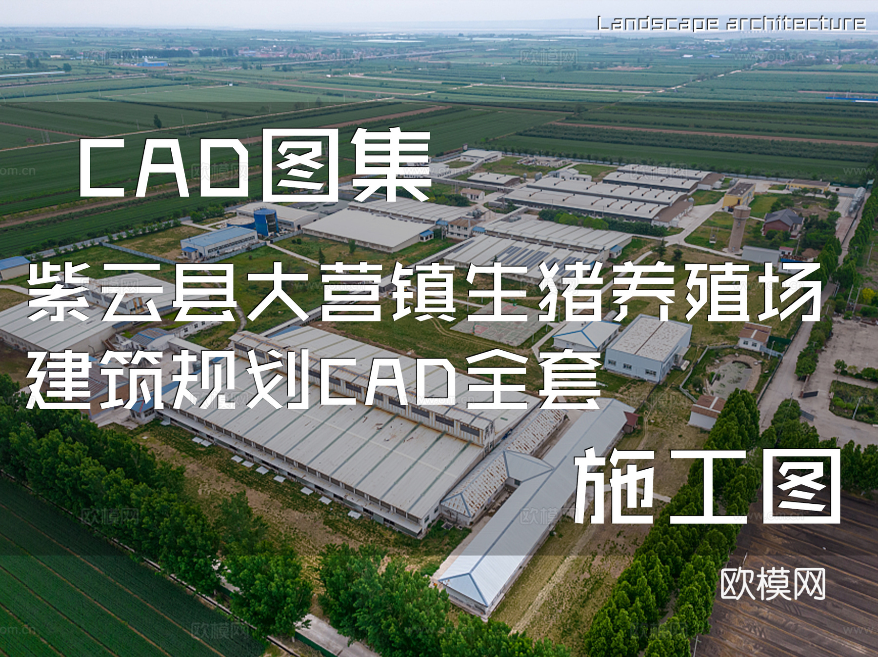 紫云县大营镇生猪养殖场建筑规划CAD施工图全套cad施工图