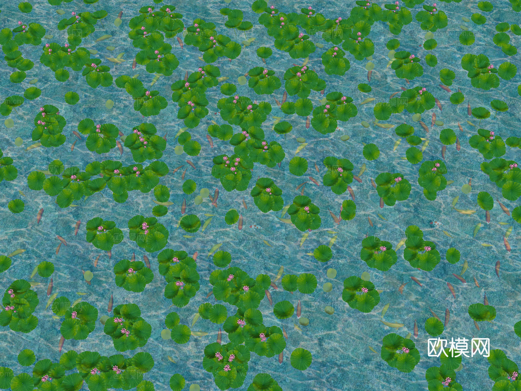 现代锦鲤鱼池荷花 金鱼锦鲤组合 景观水池荷花 睡莲荷叶莲叶3d模型下载（渲染图4）