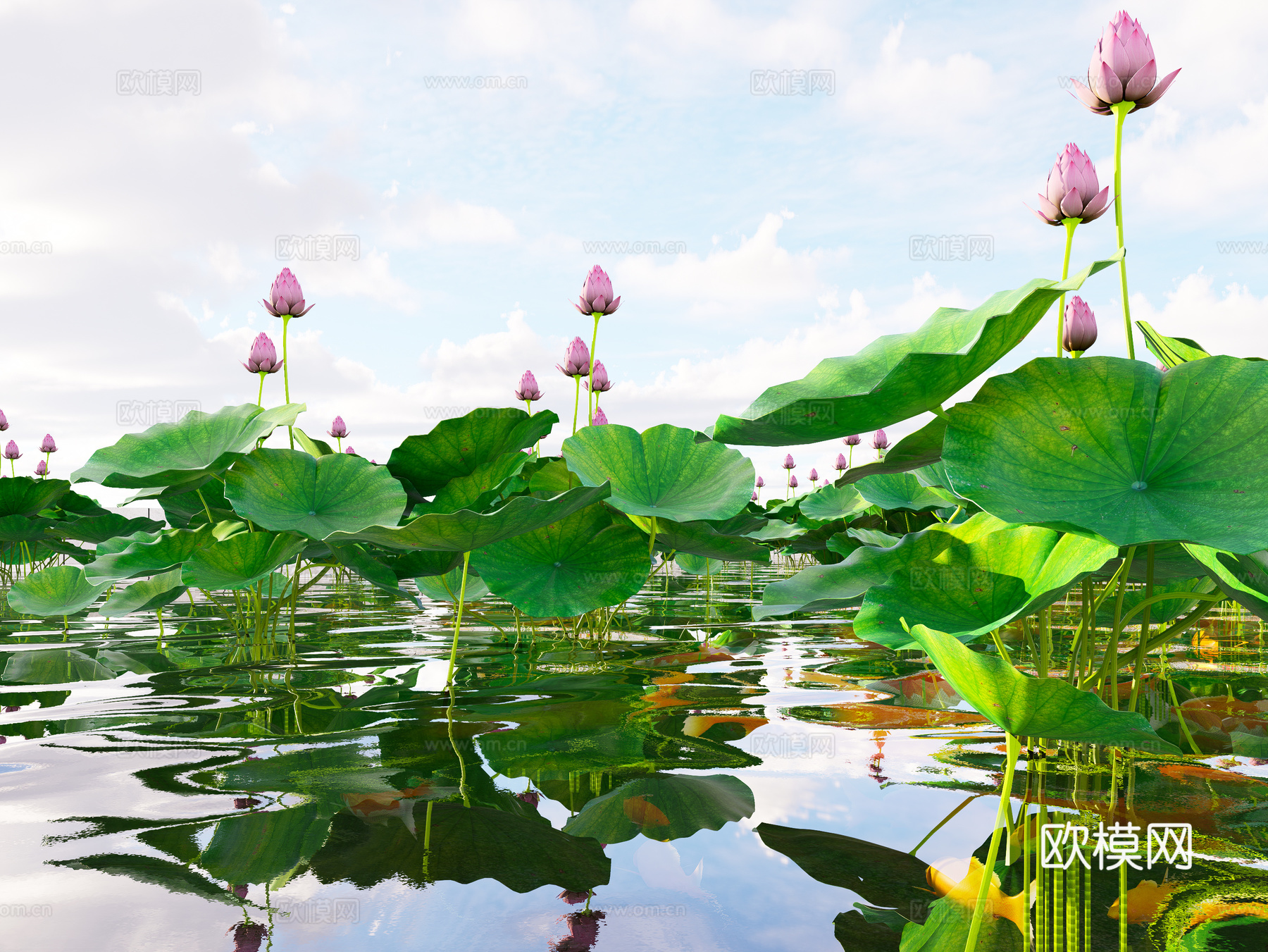 现代锦鲤鱼池荷花 金鱼锦鲤组合 景观水池荷花 睡莲荷叶莲叶3d模型下载（渲染图3）