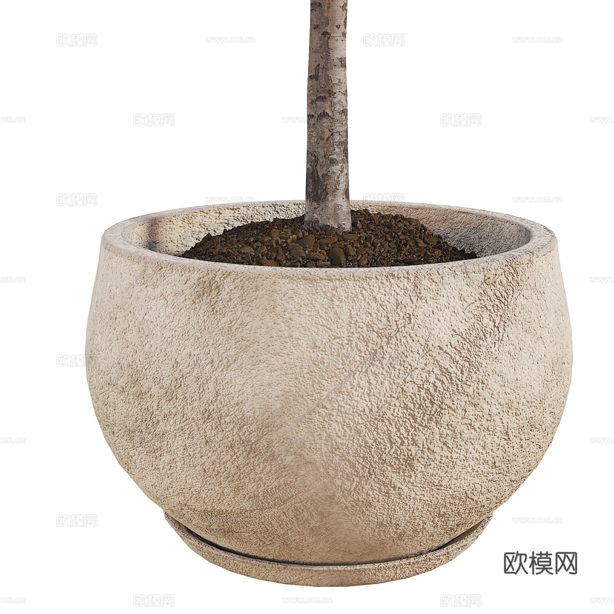 现代室内浅色石盆榕树绿植3d模型下载（渲染图3）