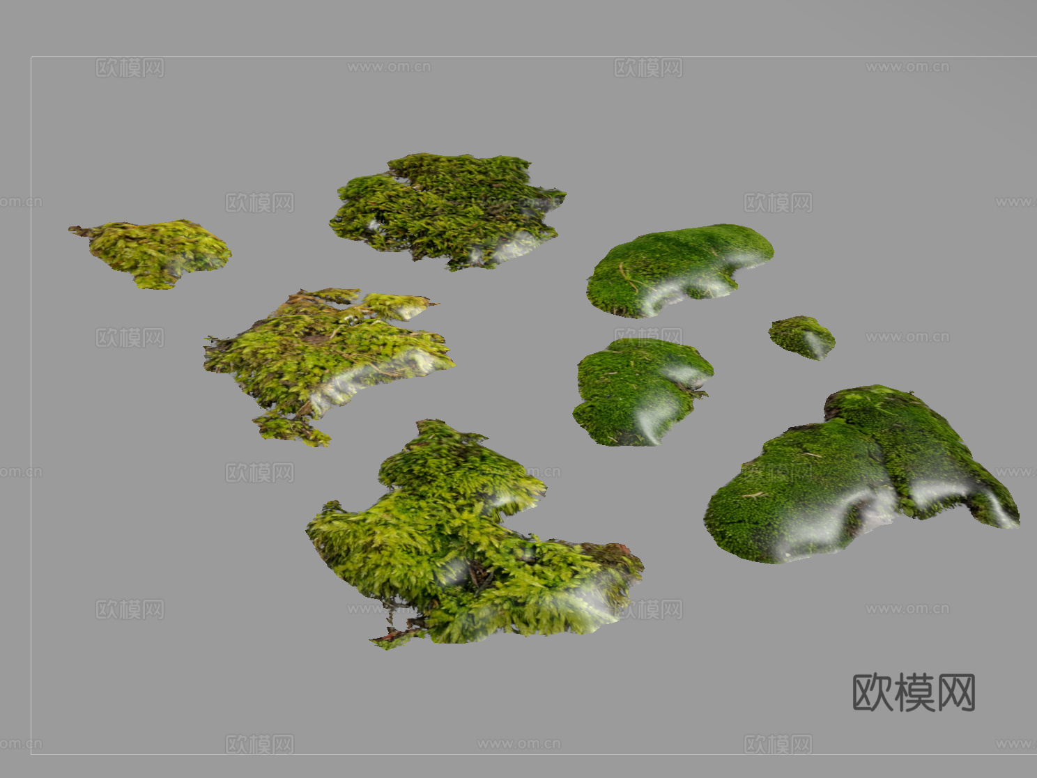 现代苔藓  地面植物su模型