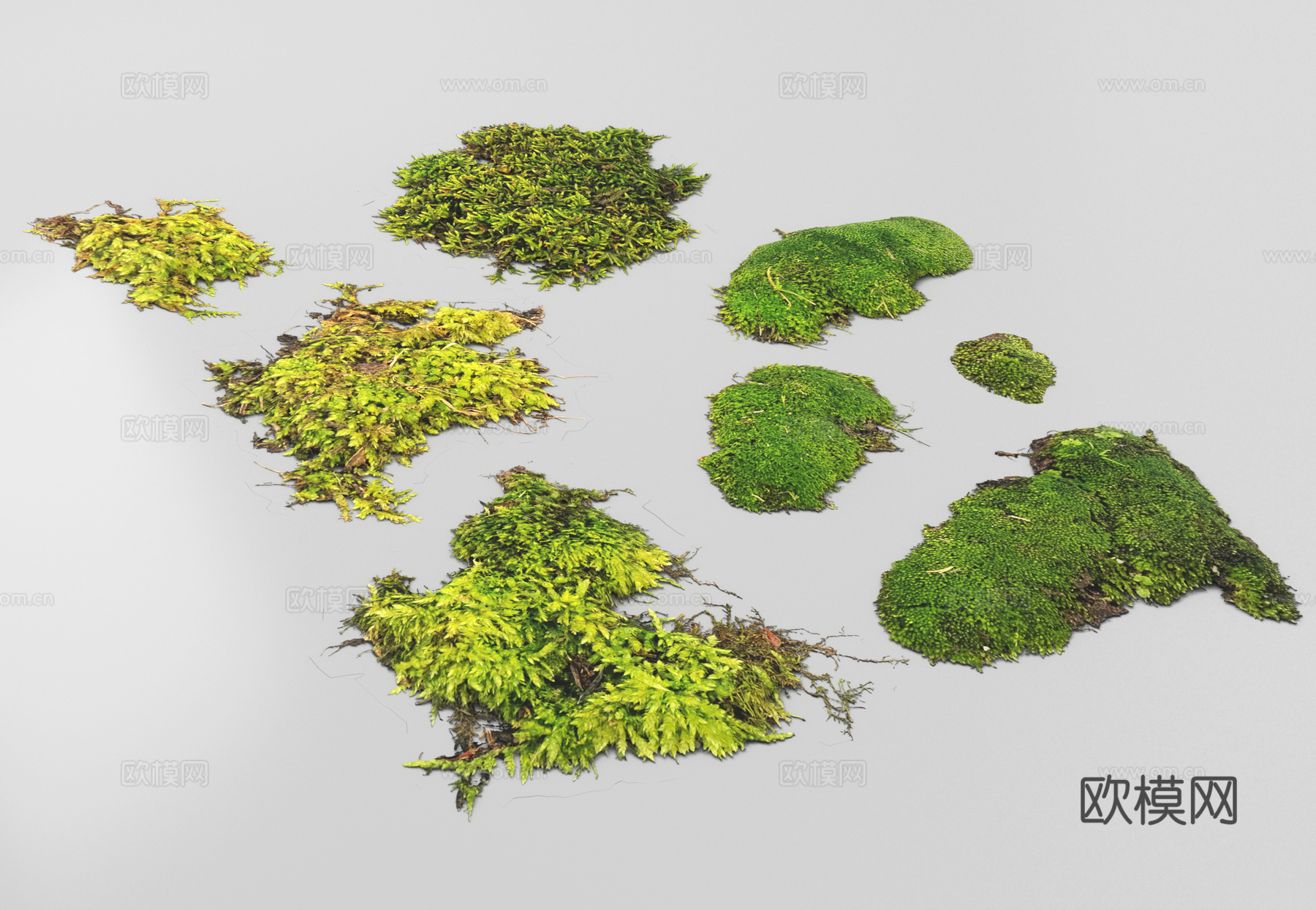 现代苔藓  地面植物su模型