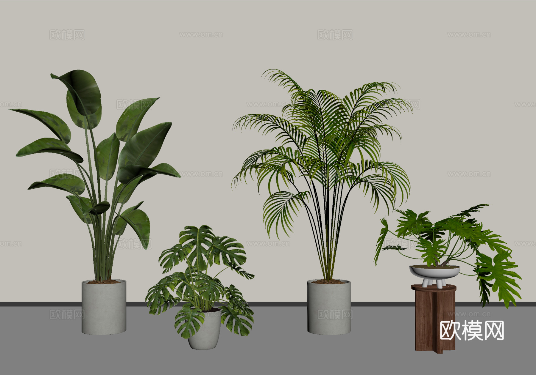 现代盆栽植物   盆栽盆景  绿植盆栽su模型