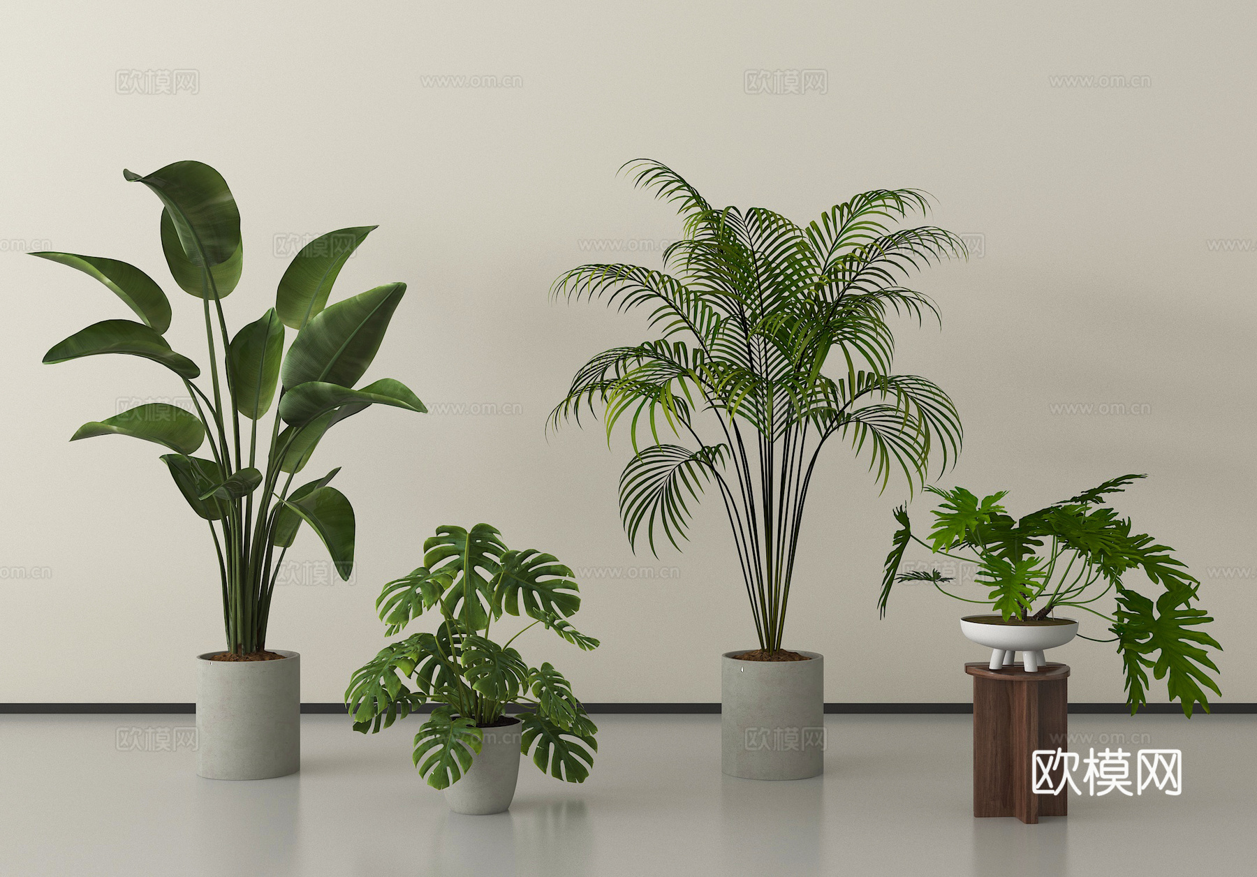 现代盆栽植物   盆栽盆景  绿植盆栽3d模型下载