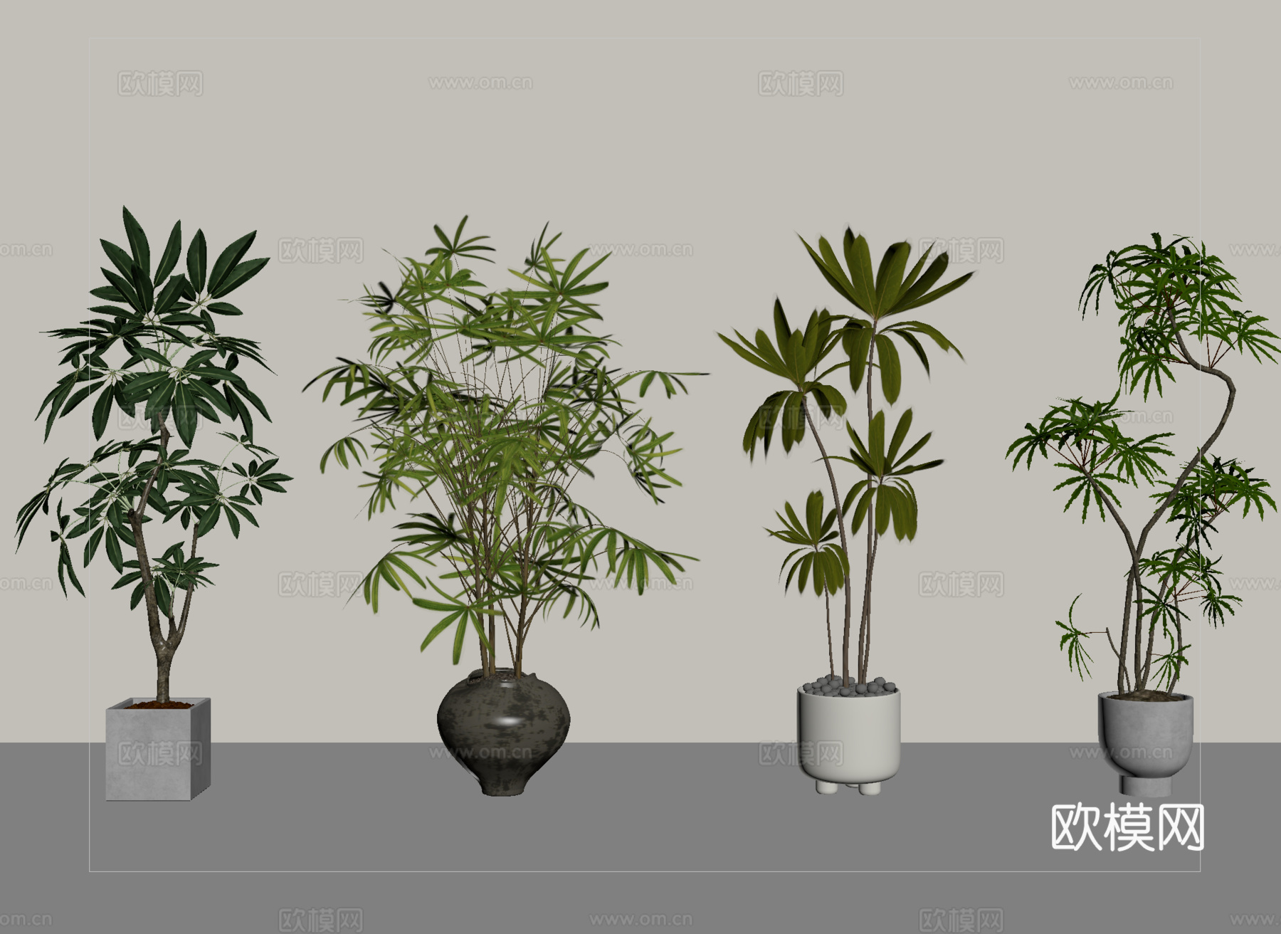 现代盆栽植物   盆栽盆景su模型