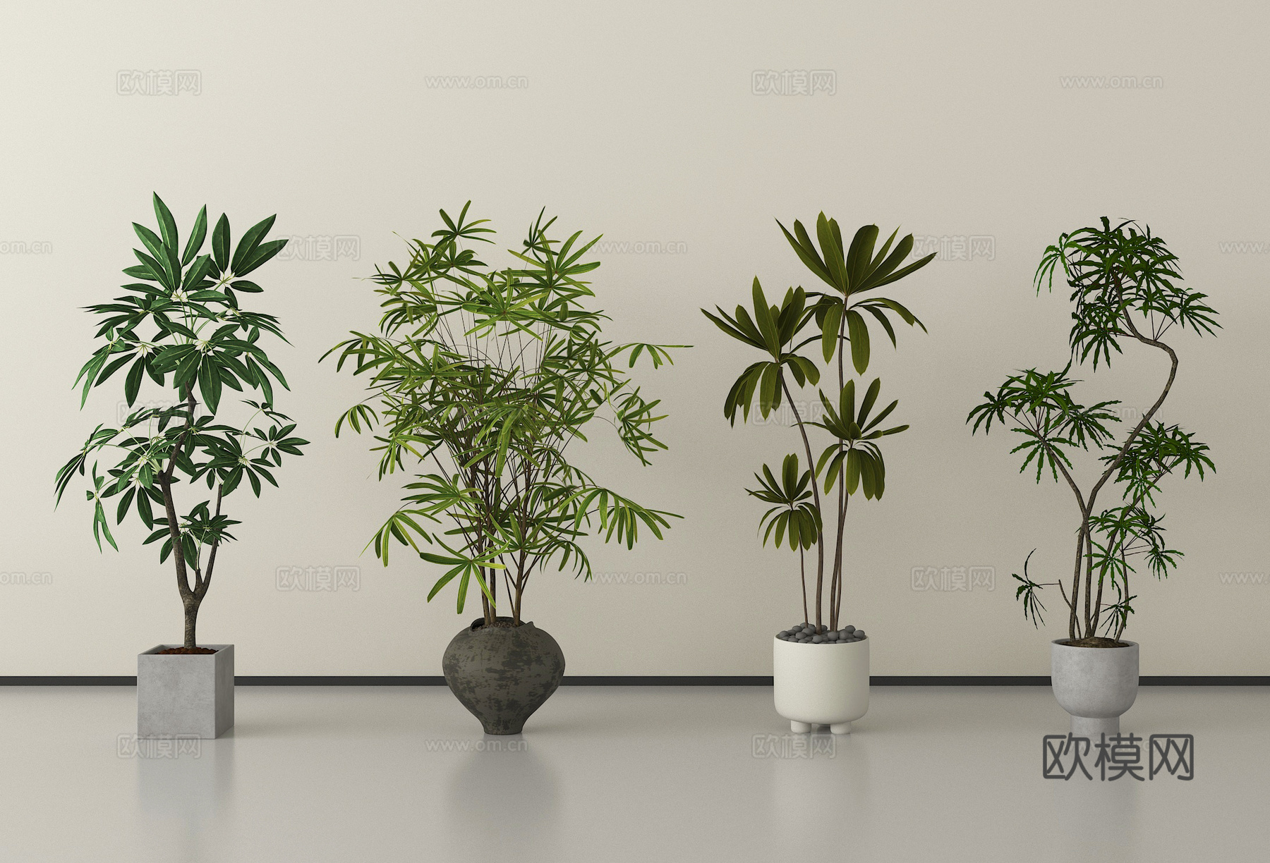 现代盆栽植物   盆栽盆景su模型