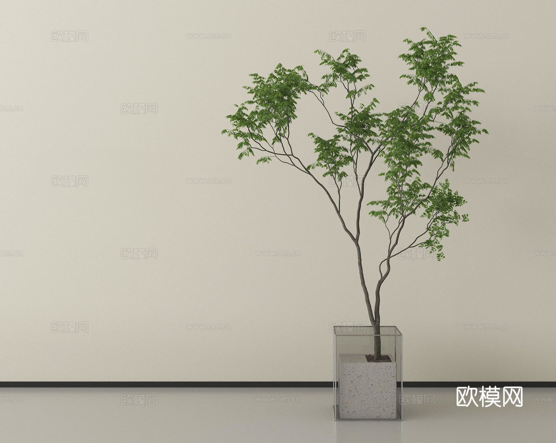 现代盆栽植物   盆栽盆景  绿植盆栽su模型