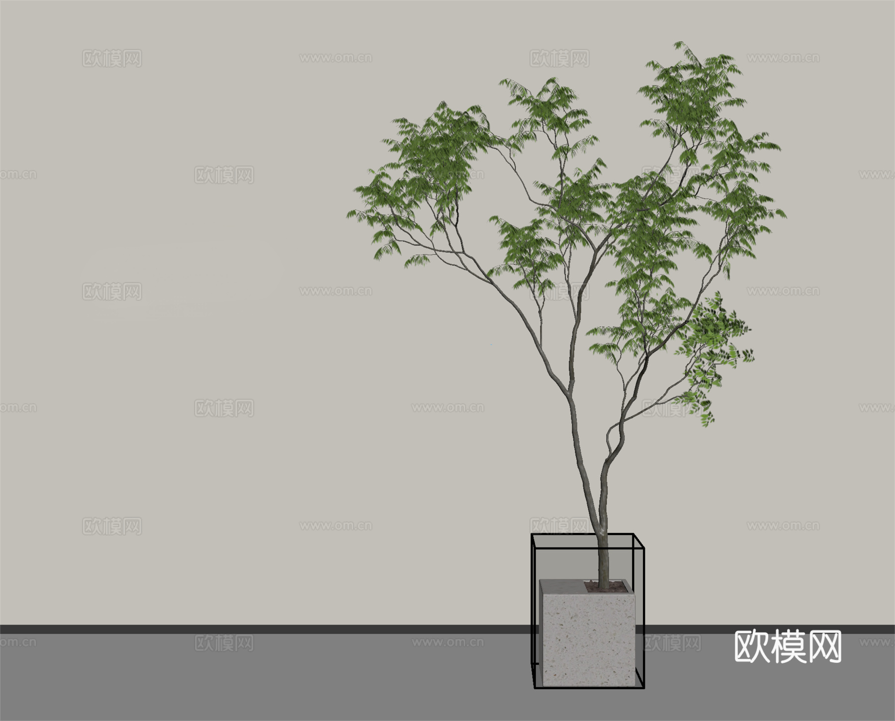 现代盆栽植物   盆栽盆景  绿植盆栽su模型