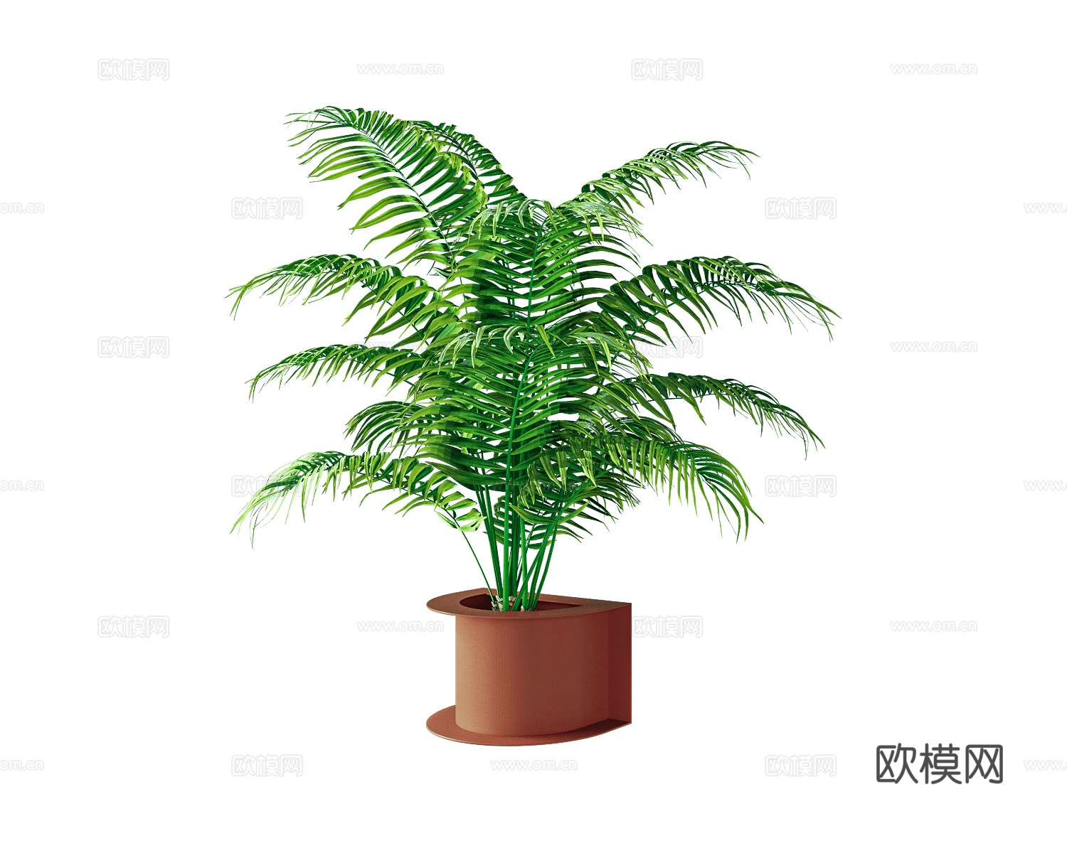 CORE objects 散尾葵植物3d模型下载