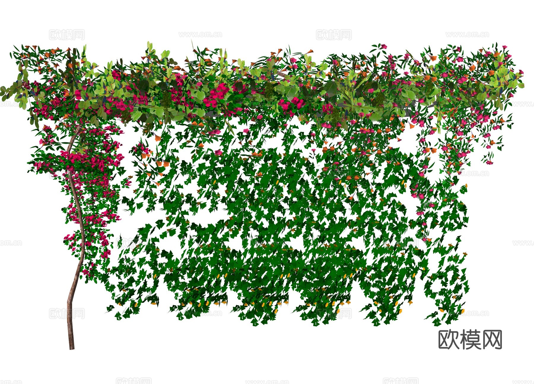 现代藤蔓植物su模型