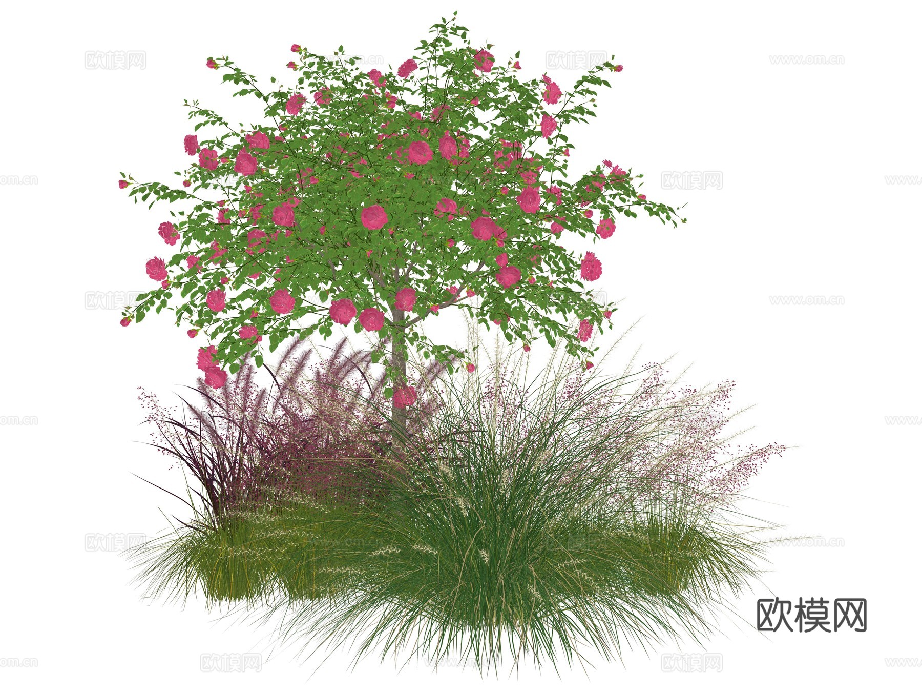 现代庭院植物堆组合su模型