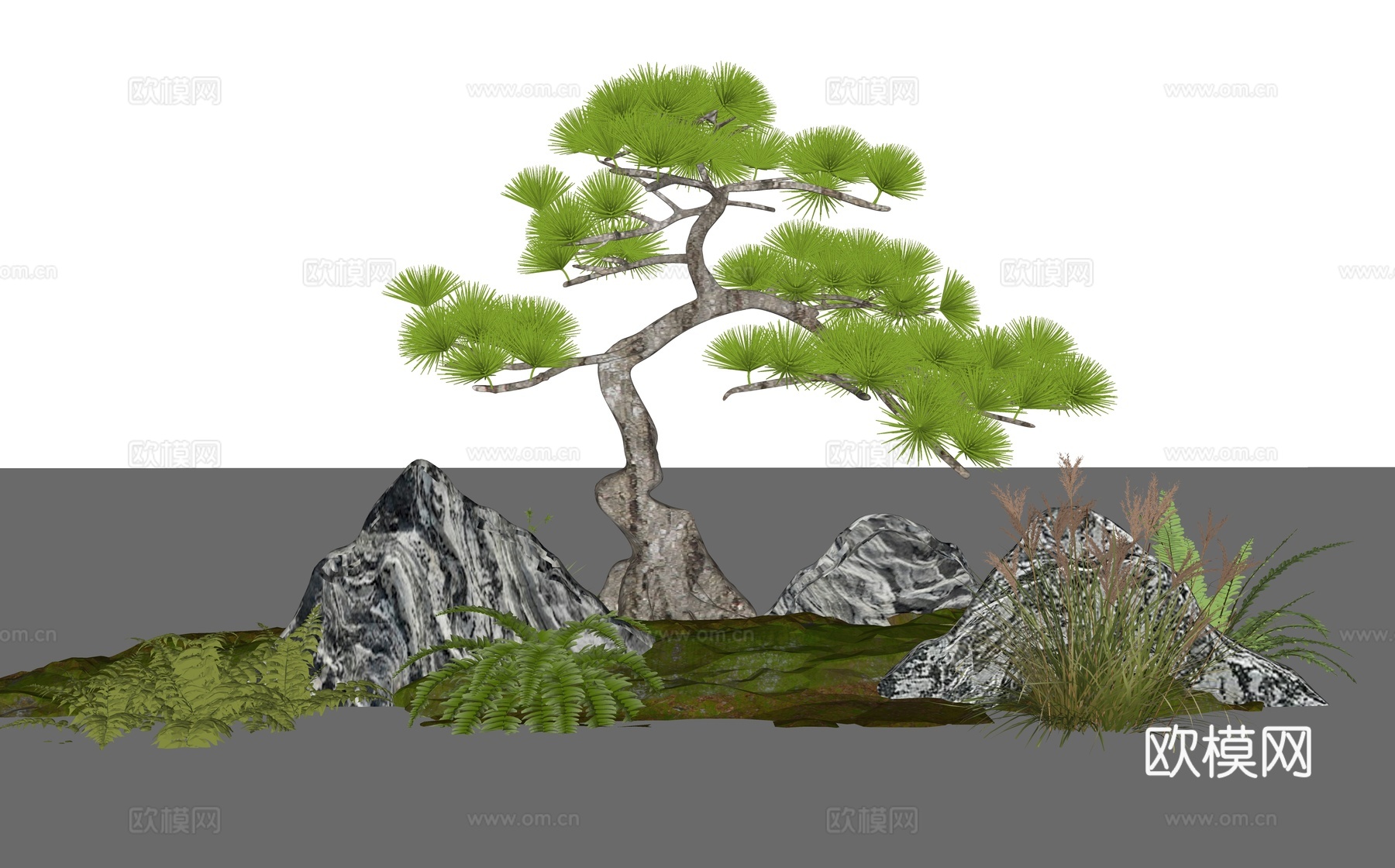 造型松 景观松 罗汉松 迎客松 室内景观 室内造型景观su模型