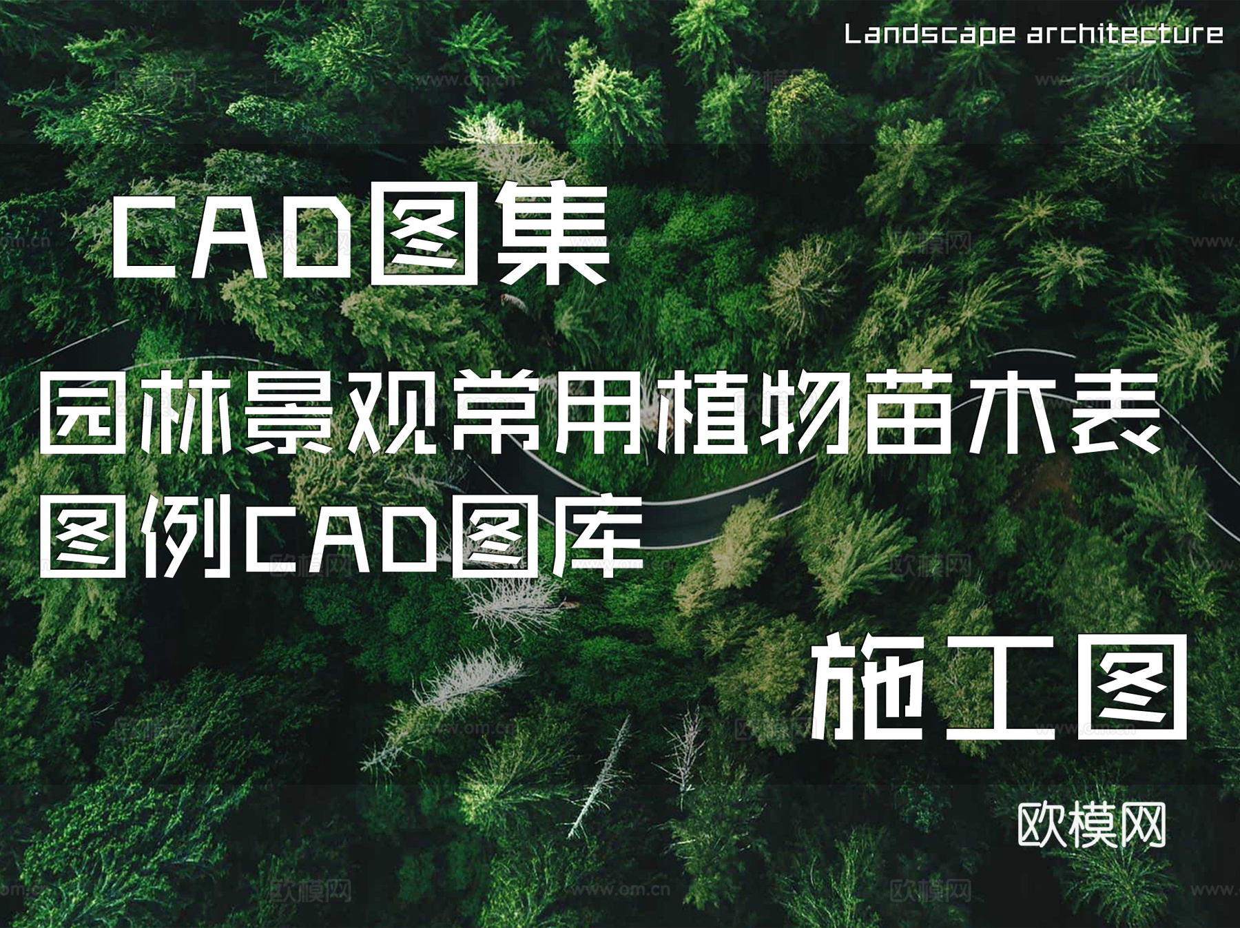 园林景观常用植物苗木表图例CAD图库cad施工图